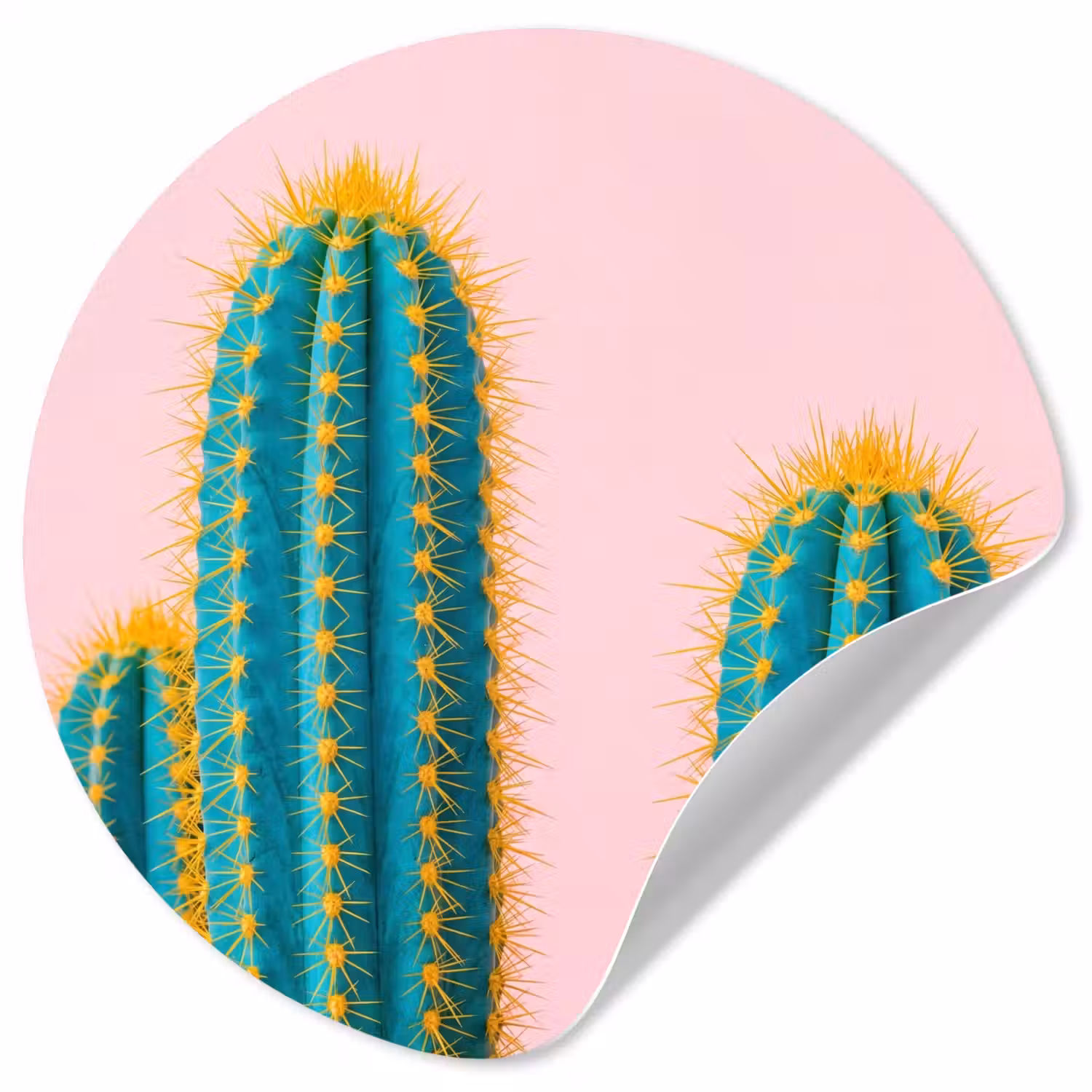 Cactussen - Modern - Pastel Wandcirkel behangsticker klein -3d