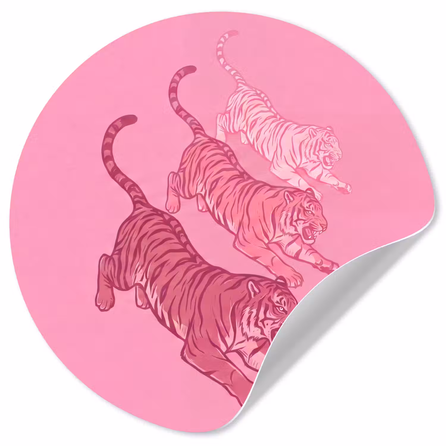 Kat - Springend - Dieren - Roze - Modern Wandcirkel behangsticker klein -3d