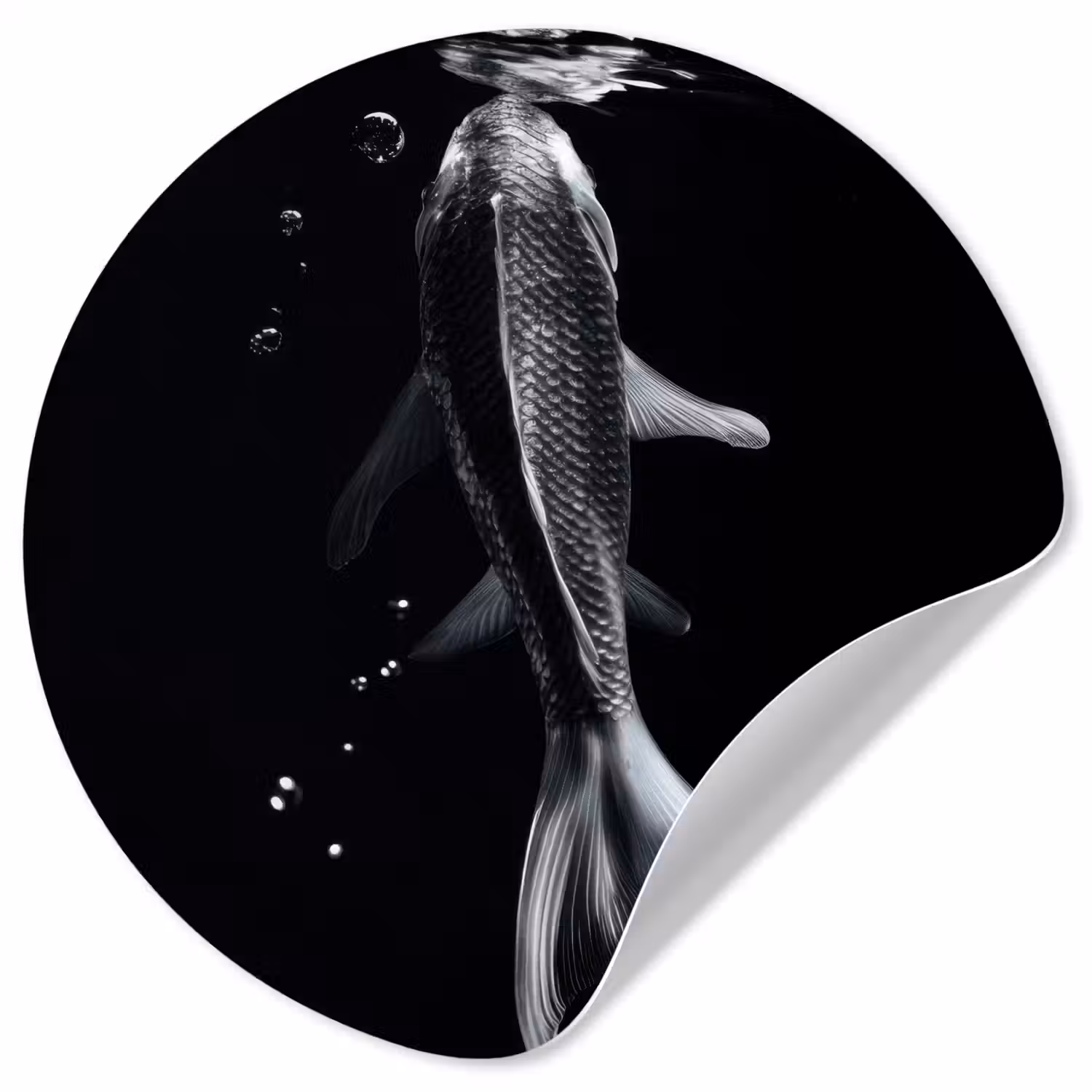 Koi - Vissen - Water - Zwart Wandcirkel behangsticker klein -3d
