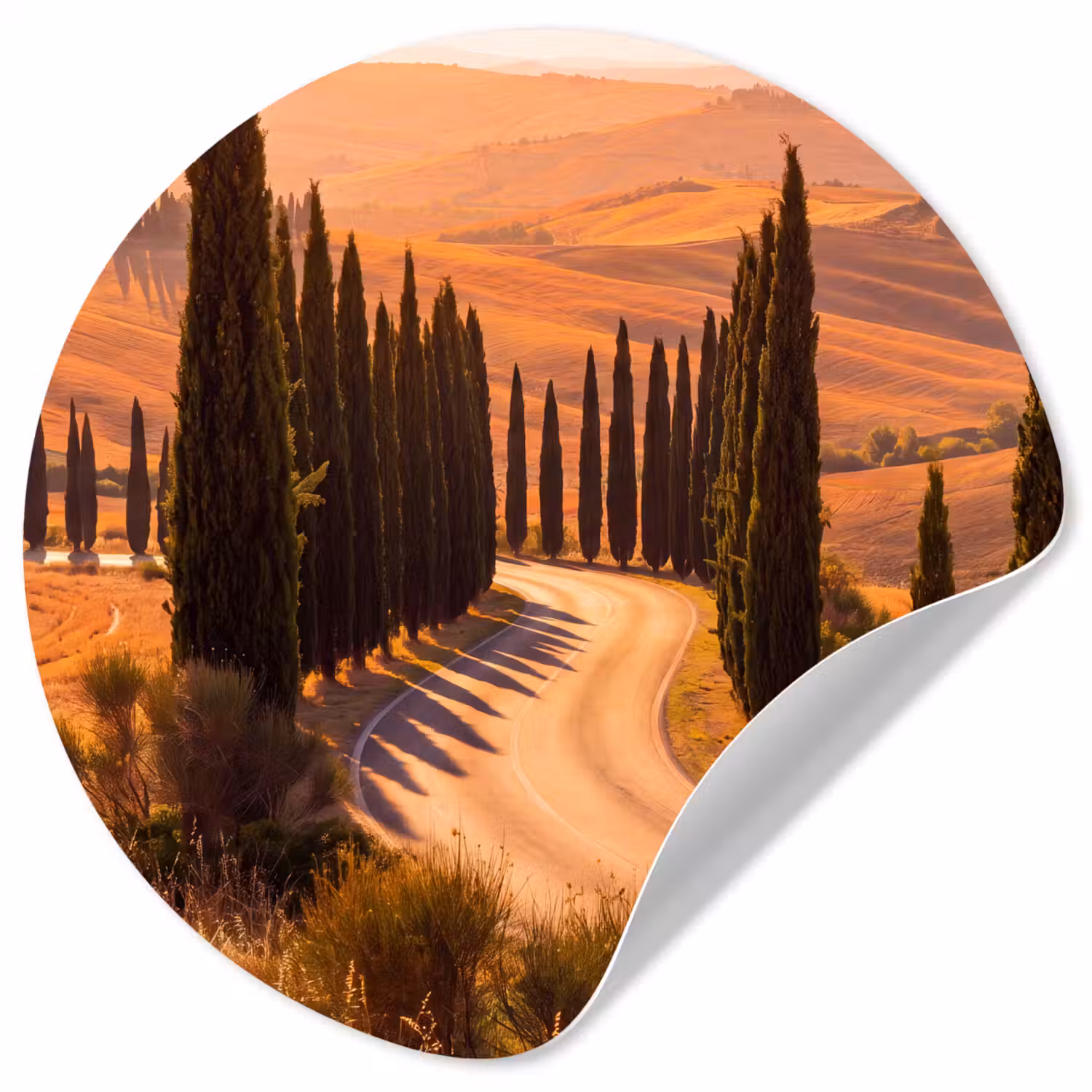 Landschap - Weg - Bomen - Natuur - Goud Wandcirkel behangsticker klein -3d