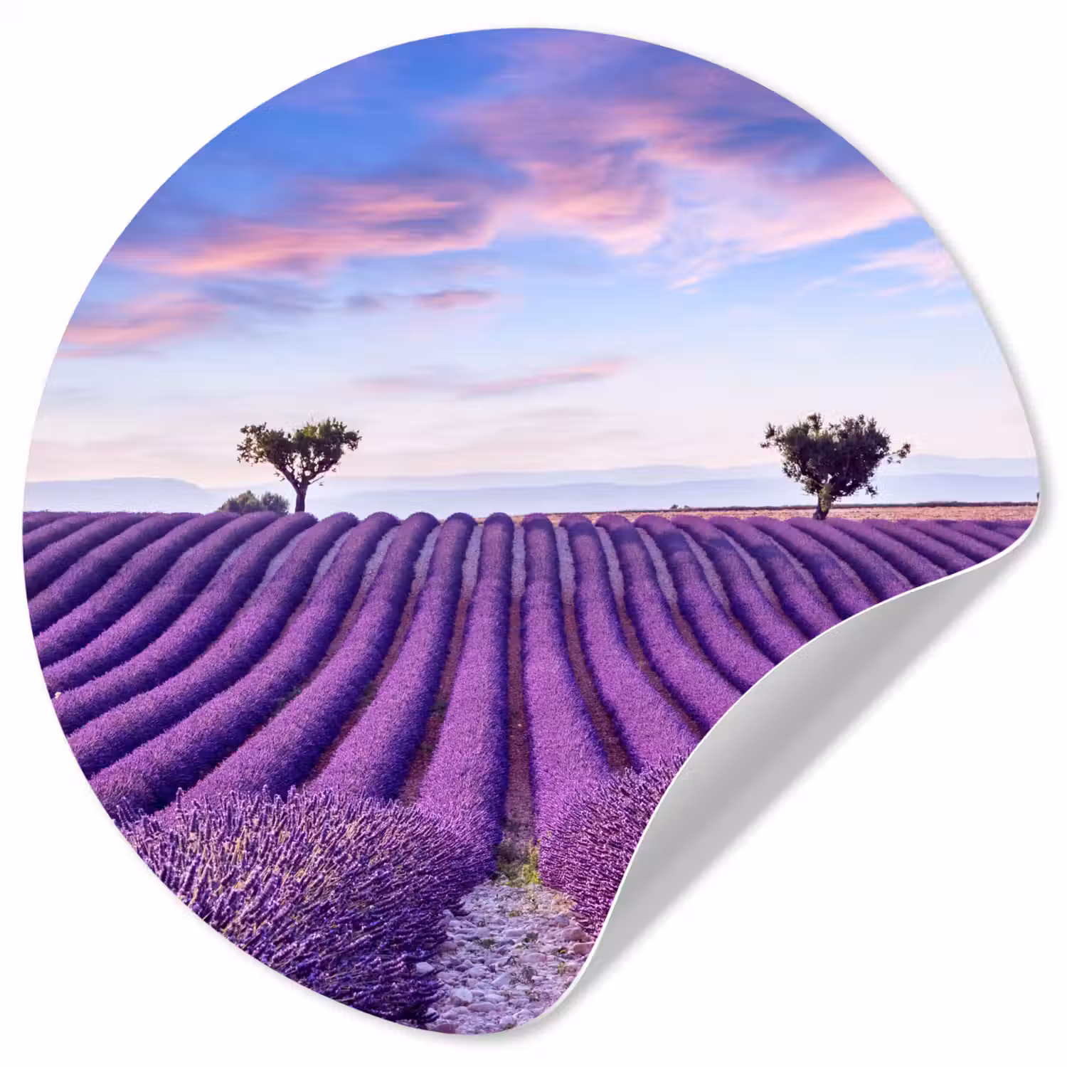 Lavendel - Natuur - Paars - Bomen - Bloemen Wandcirkel behangsticker klein -3d