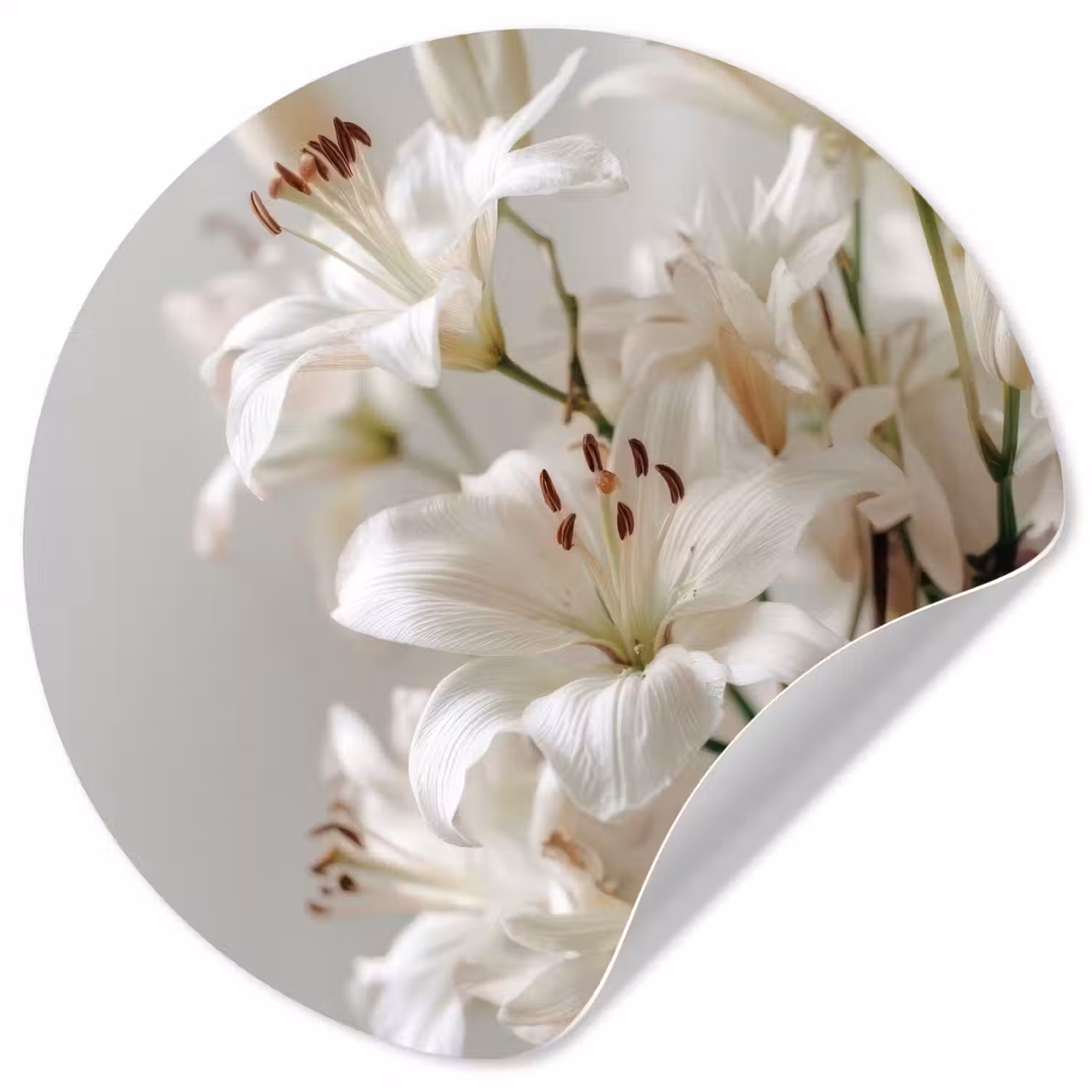Lelies - Boekte - Wit - Meeldraden Wandcirkel behangsticker klein -3d