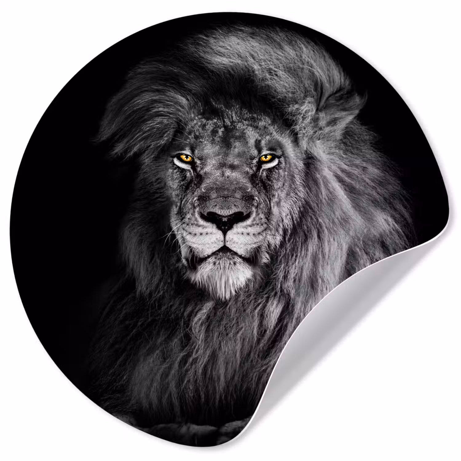 Leeuw - Ogen - Oranje - Zwart wit - Dieren - Portret Wandcirkel behangsticker klein -3d