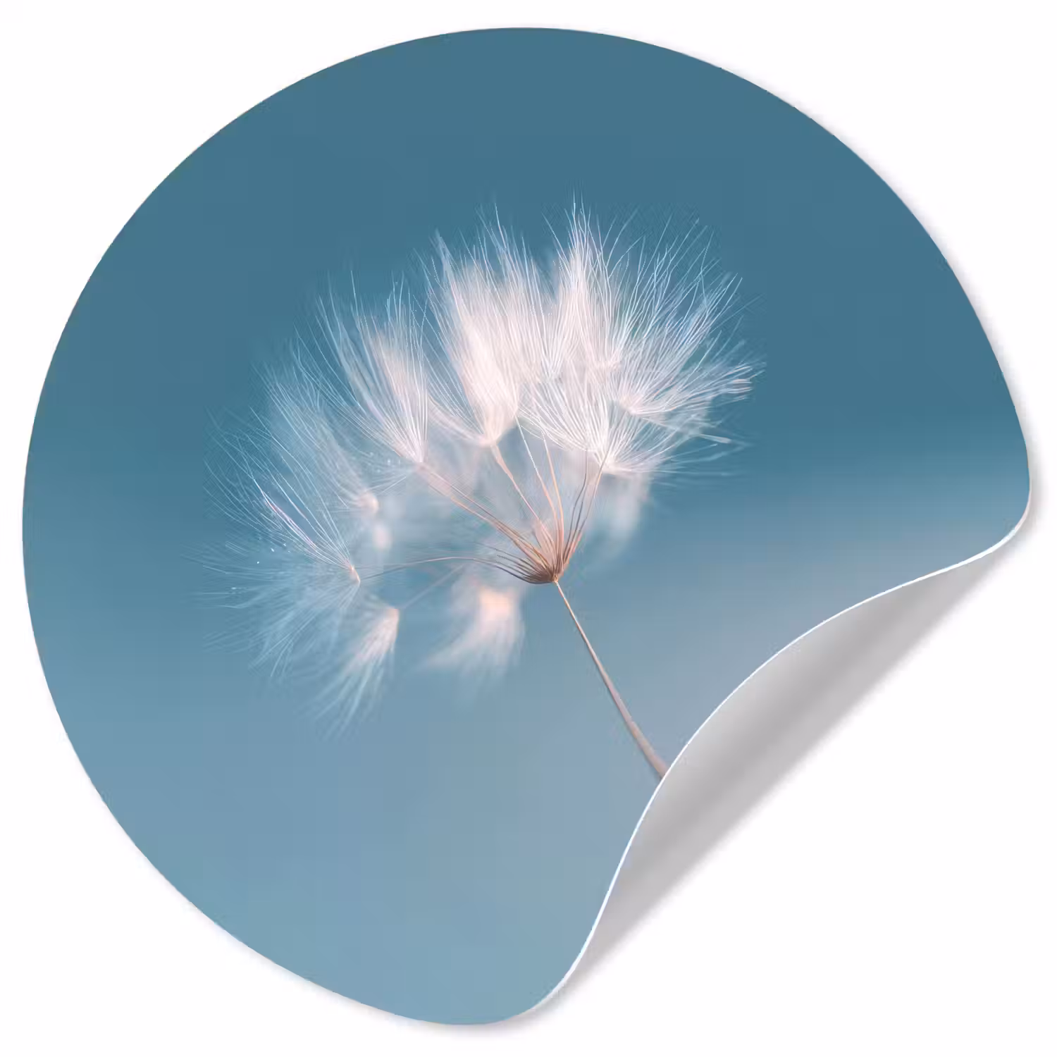 Paardenbloempluisje - Blauw - Lucht Wandcirkel behangsticker klein -3d