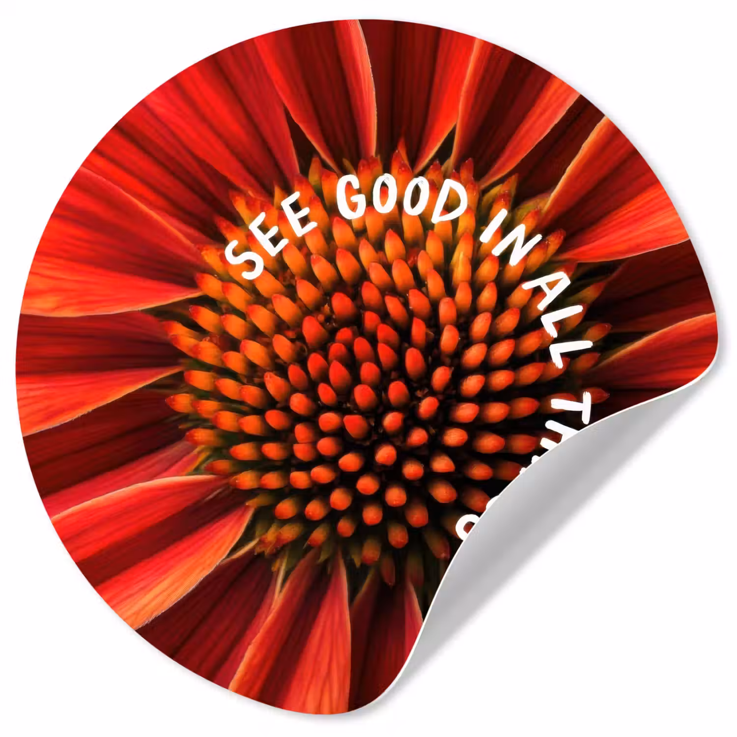 Close up - Bloem - Quote - Rood Wandcirkel behangsticker klein -3d