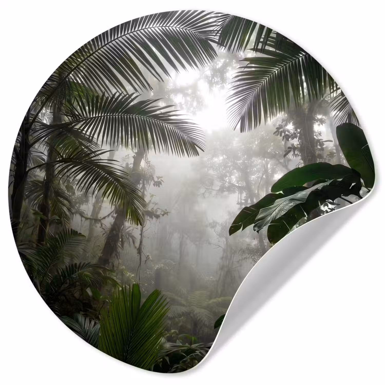 Natuur - Jungle - Mist - Groen - Bladeren Wandcirkel behangsticker klein -3d