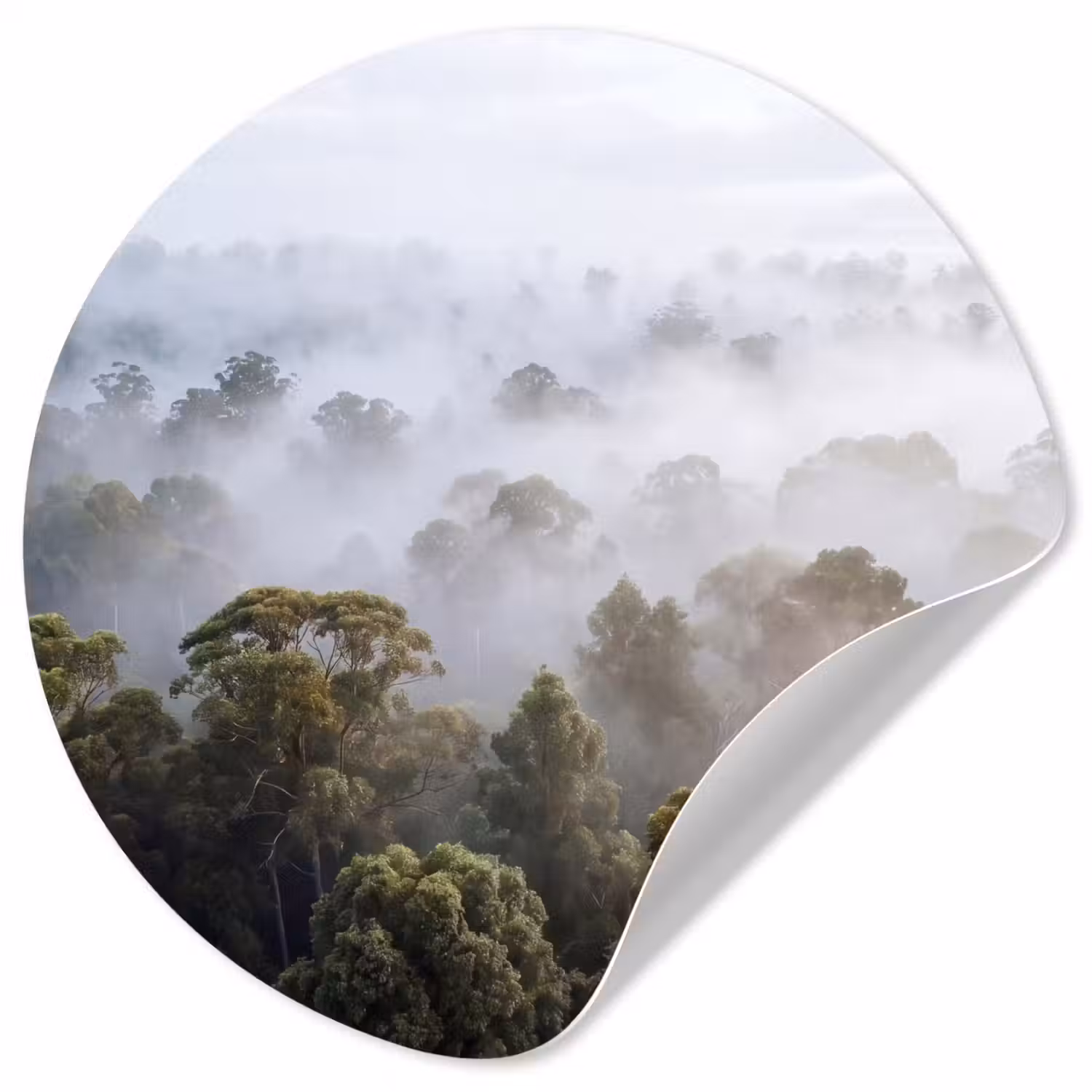Natuur - Mist - Bos - Ochtend - Goud Wandcirkel behangsticker klein -3d