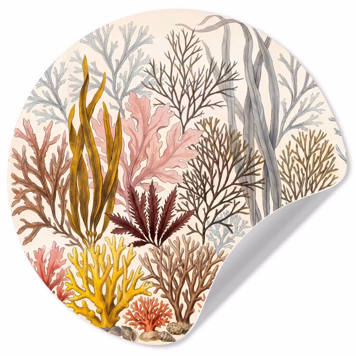 Natuur - Onderwater - Botanisch - Vintage - Kleurrijk Wandcirkel behangsticker klein -3d