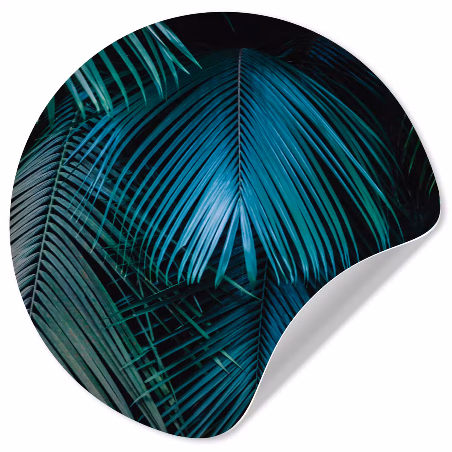 Palmblad - Tropisch - Natuur - Jungle Wandcirkel behangsticker klein -3d
