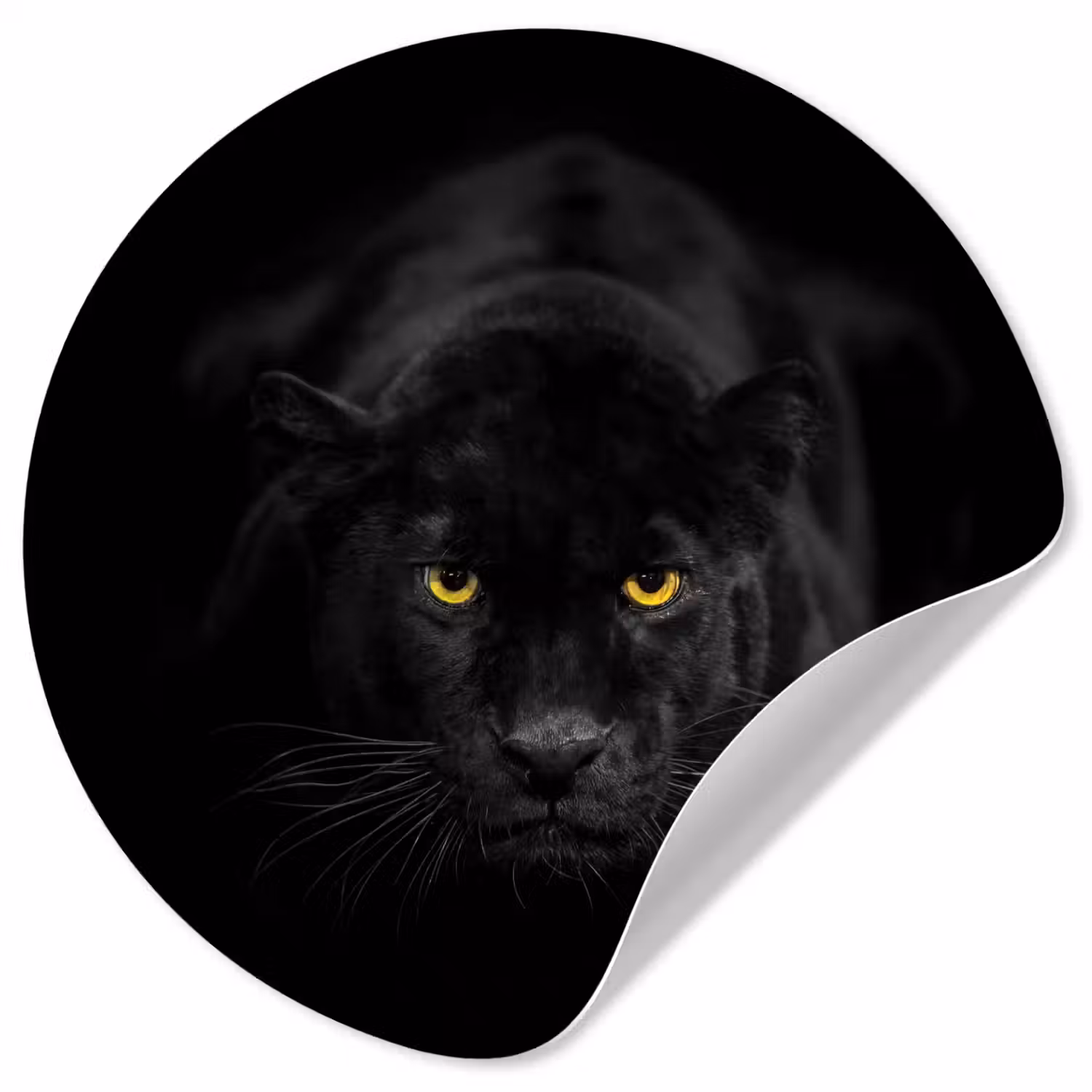 Panter - Dieren - Zwart - Ogen Wandcirkel behangsticker klein -3d