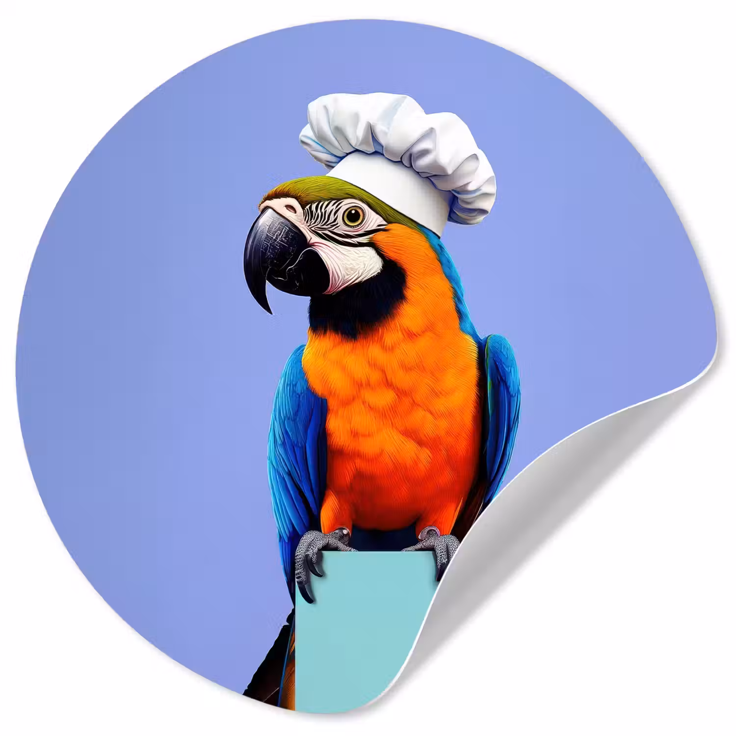 Papegaai - Koksmuts - Vogel - Leuk Wandcirkel behangsticker klein -3d
