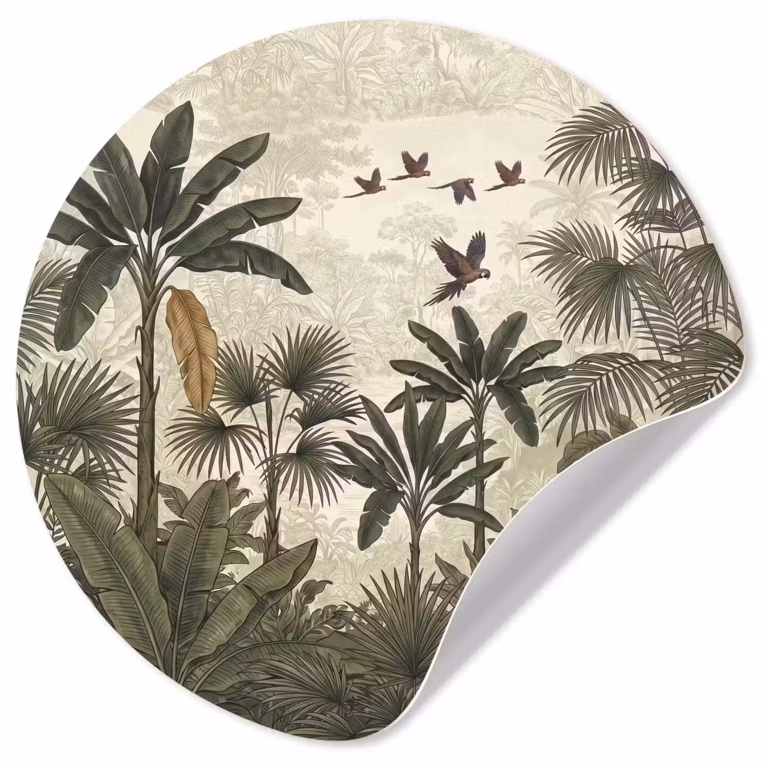 Papagaaien - Jungle - Tropisch - Green Wandcirkel behangsticker klein -3d