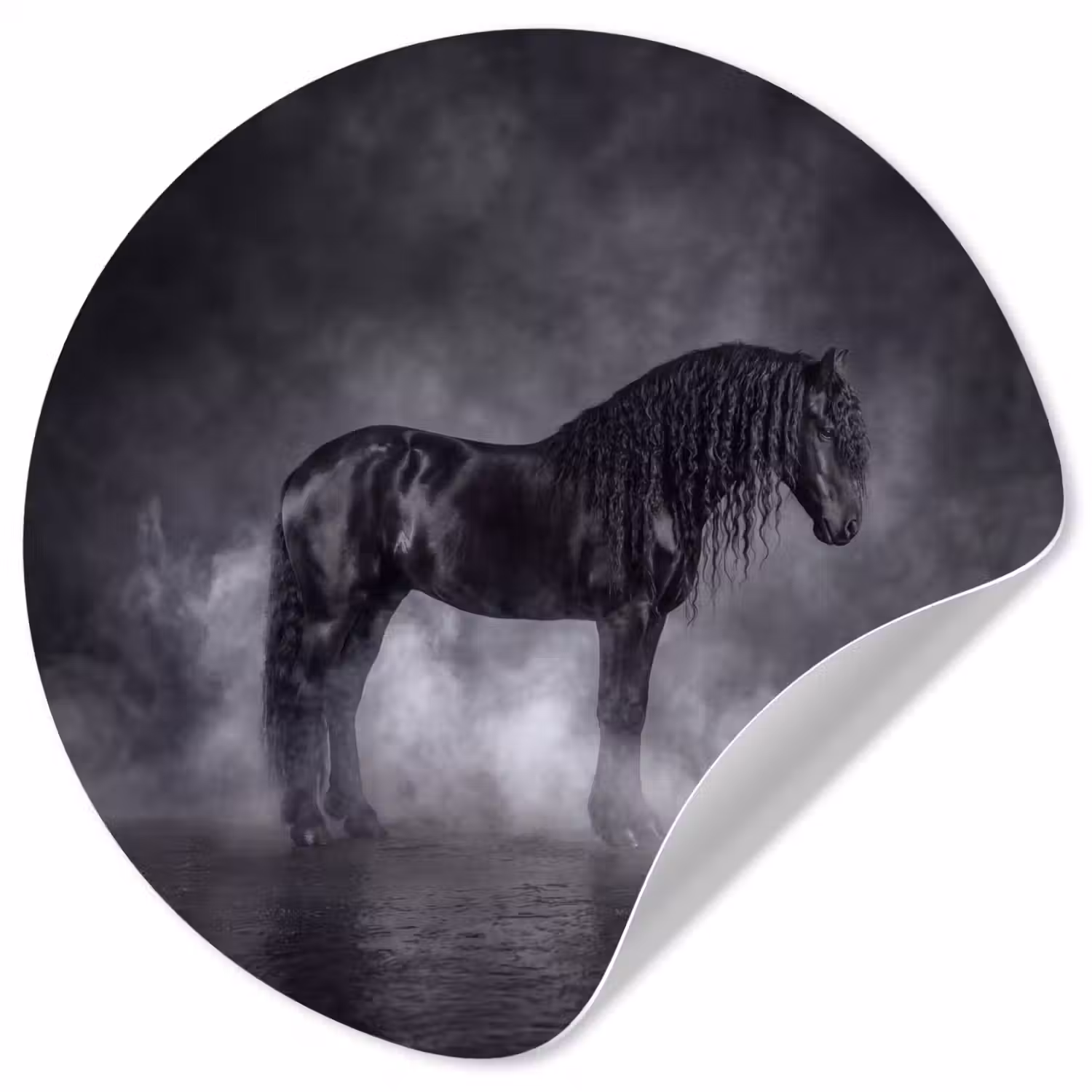 Paard - Magisch - Zwart Wandcirkel behangsticker klein -3d