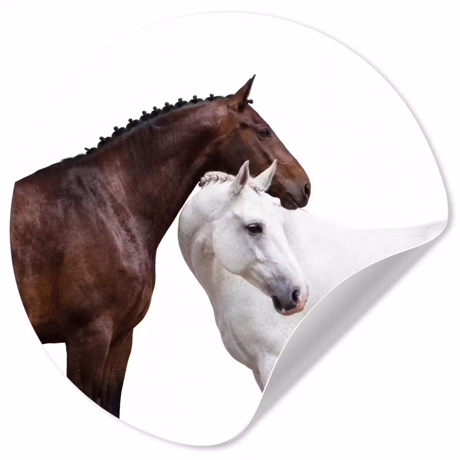 Paard - Modern - Balans Wandcirkel behangsticker klein -3d