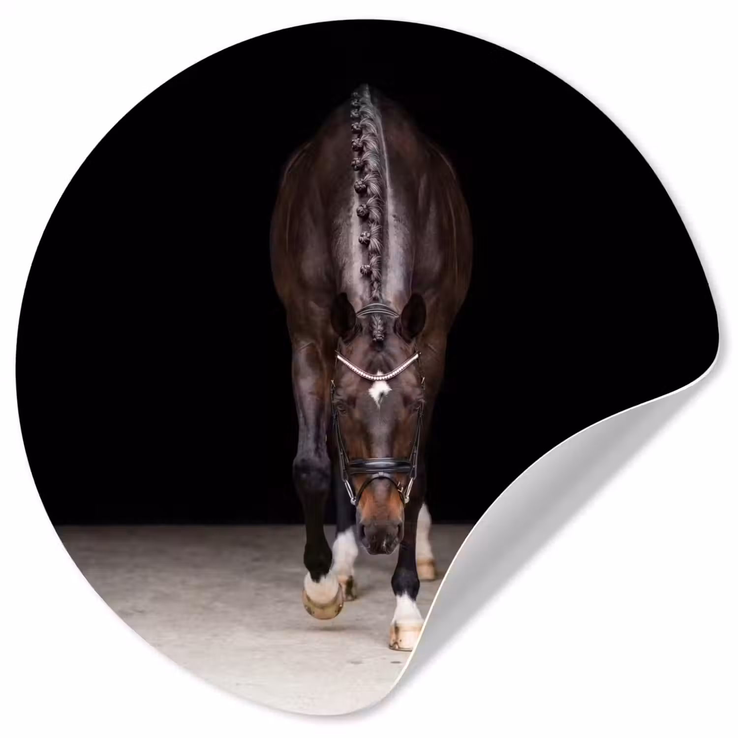 Paard - Modern - Portret Wandcirkel behangsticker klein -3d