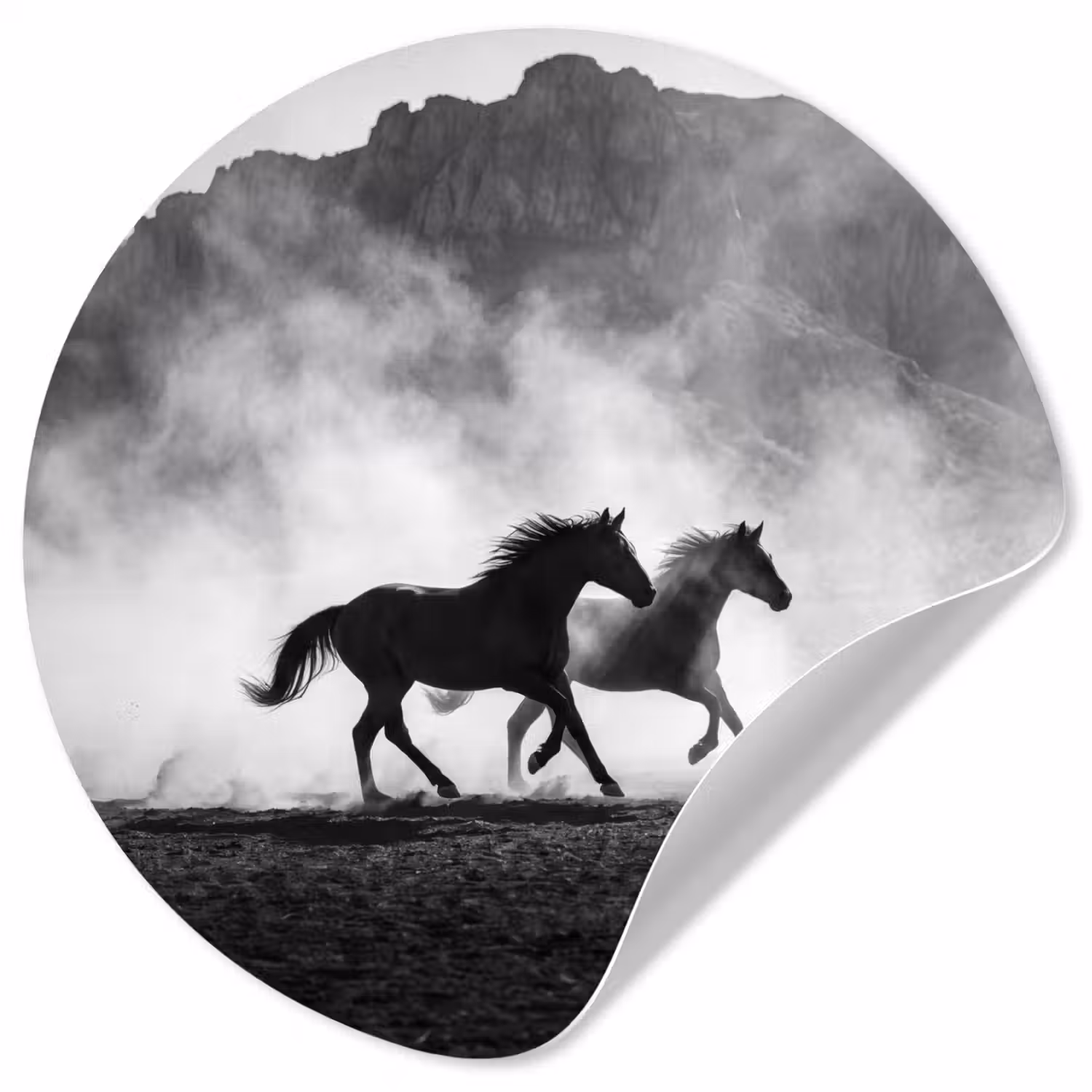 Paard - Ren - Stof - Zwart-wit - Dieren Wandcirkel behangsticker klein -3d