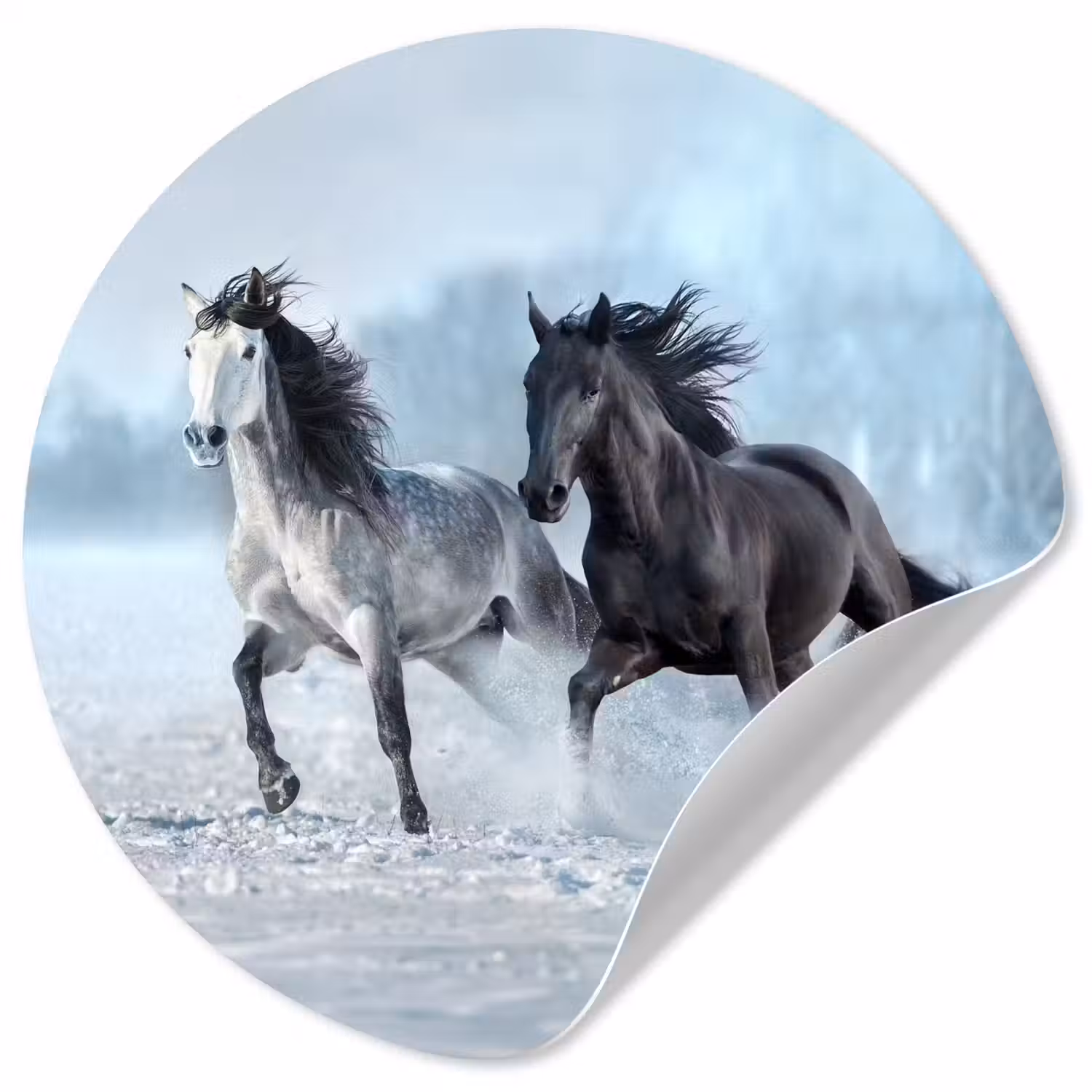 Paarden - Winter - Dieren - Natuur - Sneeuw Wandcirkel behangsticker klein -3d