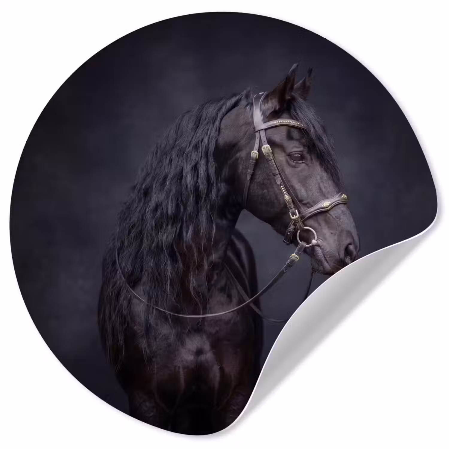 Portret - Paard - Donker Wandcirkel behangsticker klein -3d