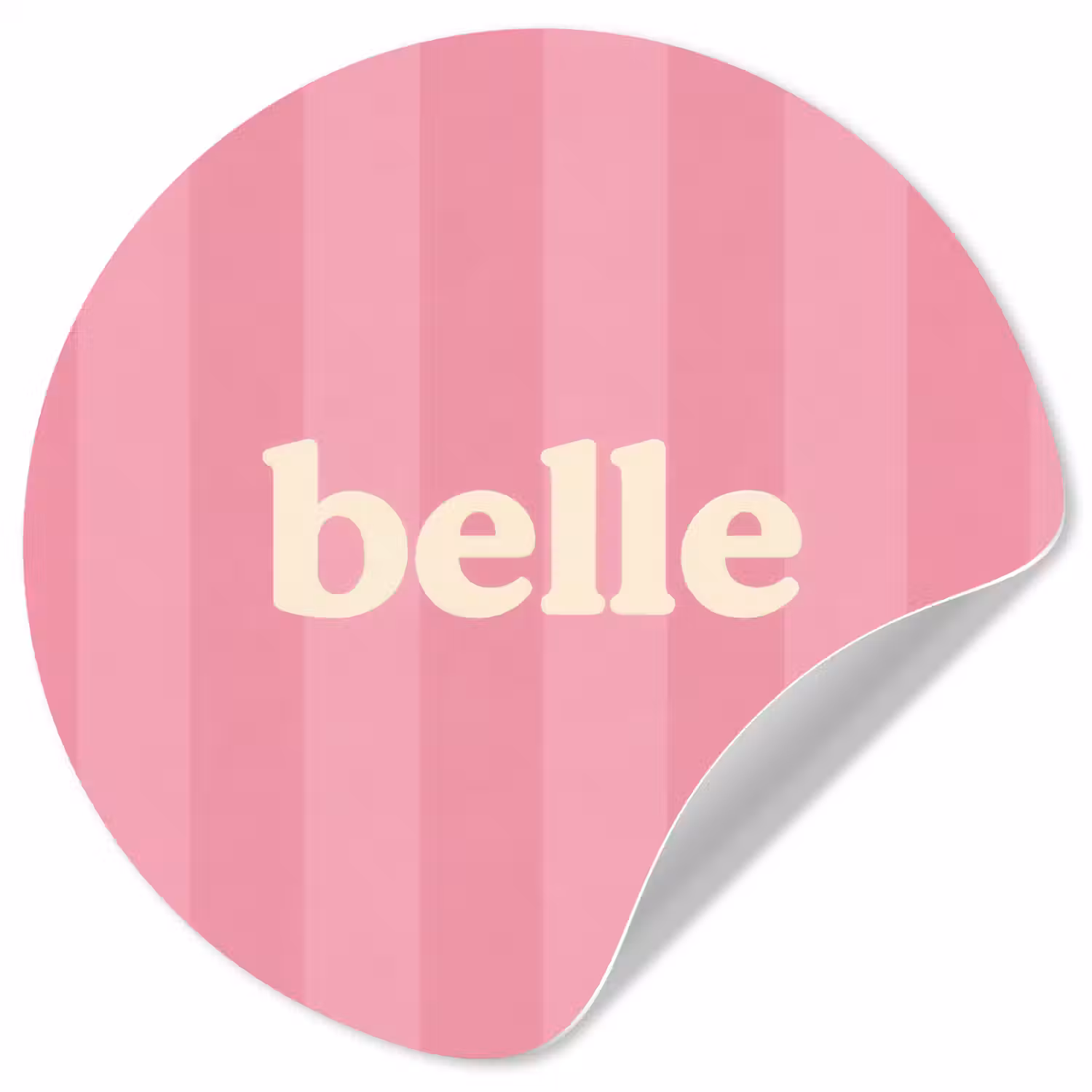 Roze - Gestreept - Belle Wandcirkel behangsticker klein -3d