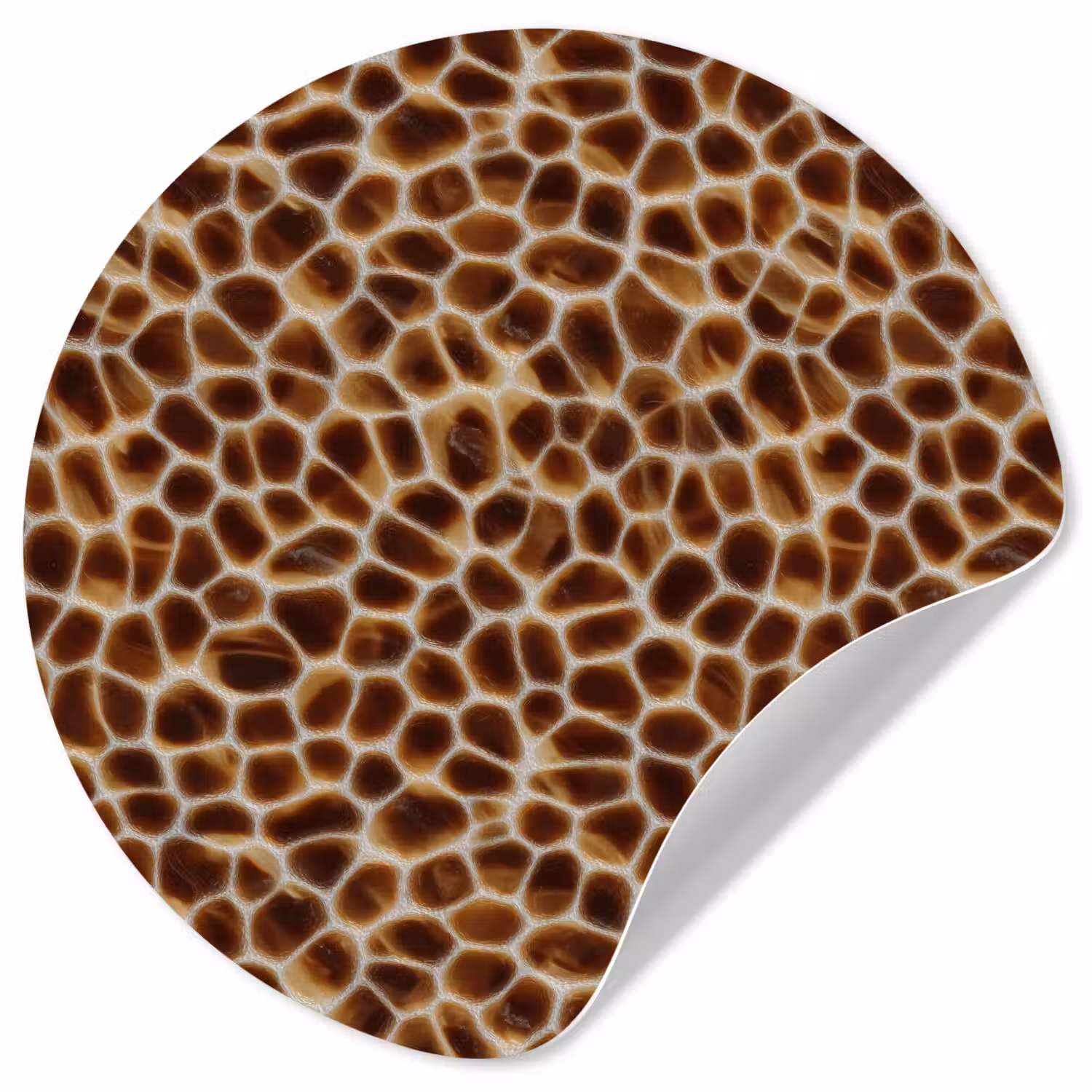 Schildpad - Bruin - Patroon Wandcirkel behangsticker klein 186 -3d