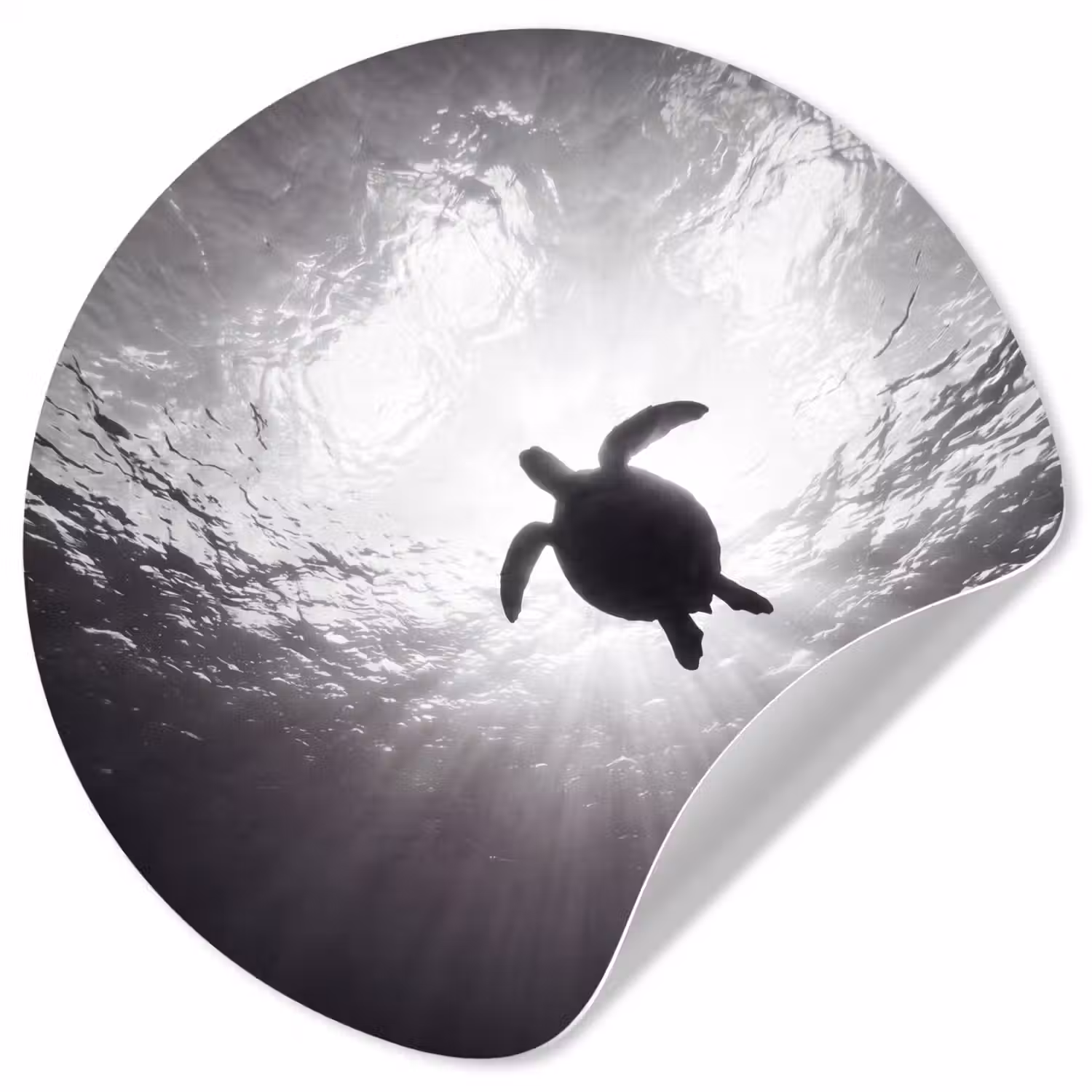 Schildpad - Onderwater - Lichtstralen - Oceaan - Zwart-wit Wandcirkel behangsticker klein -3d