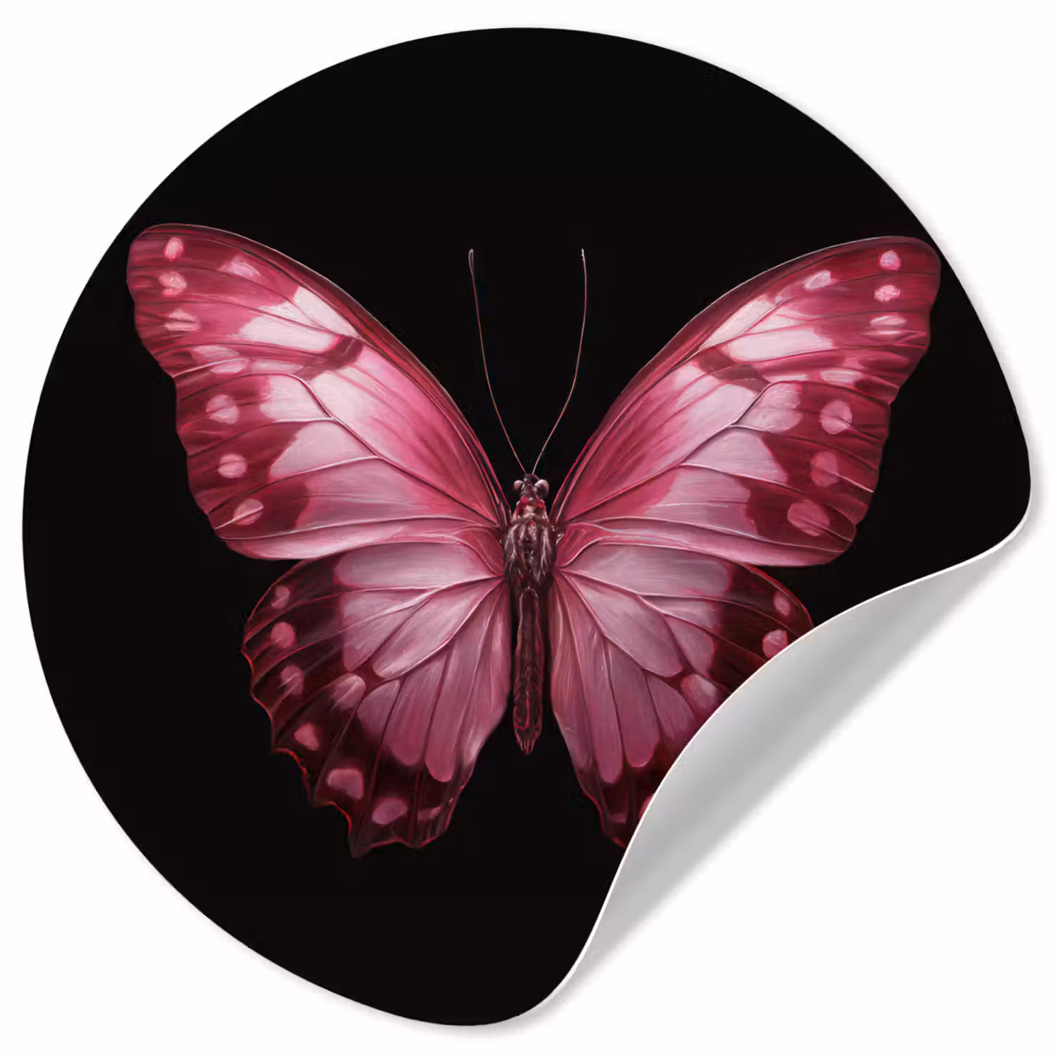 Vlinder - Fuchsia - Grafisch Wandcirkel behangsticker klein -3d