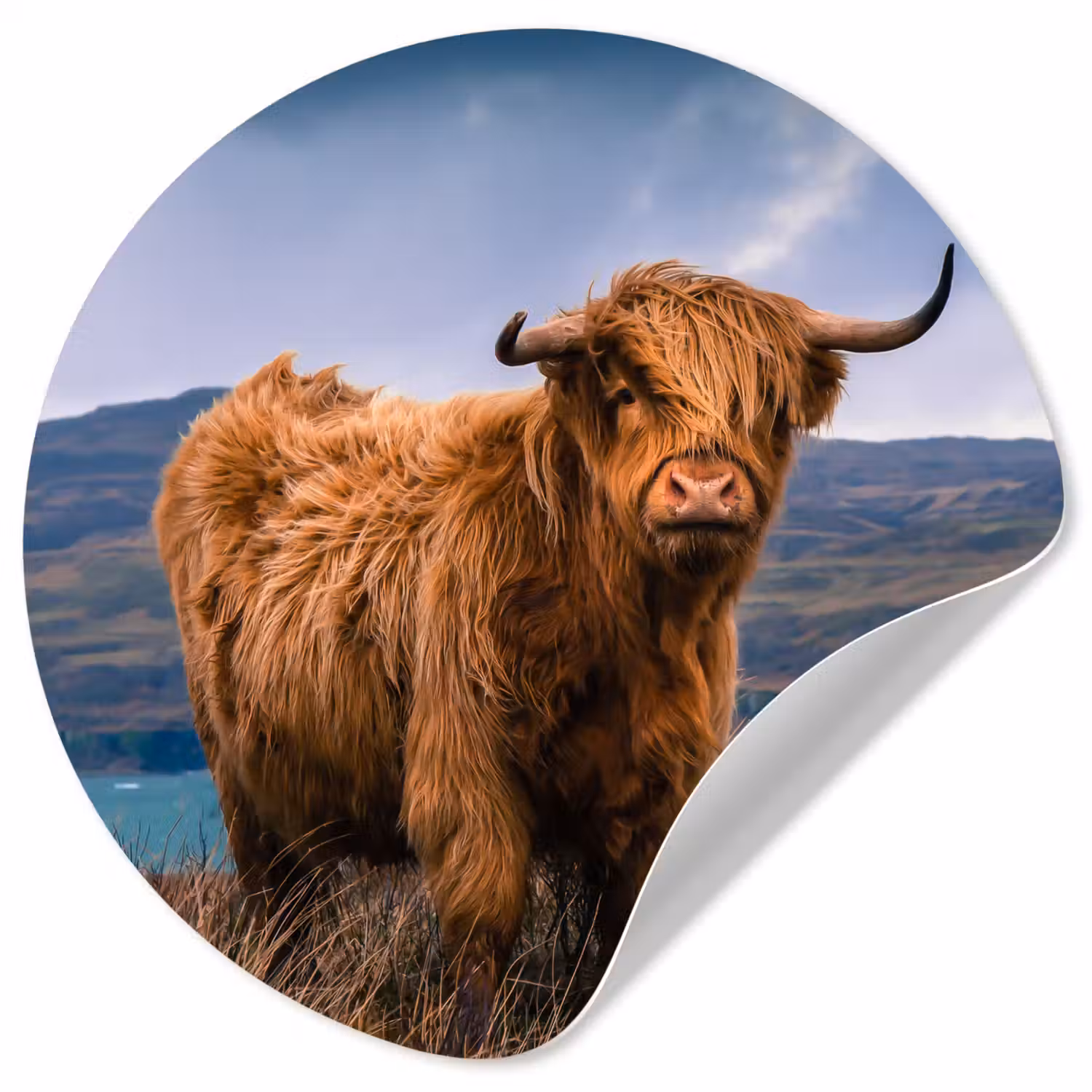 Schotse Hooglander - Berg - Water - Natuur - Koe Wandcirkel behangsticker klein -3d