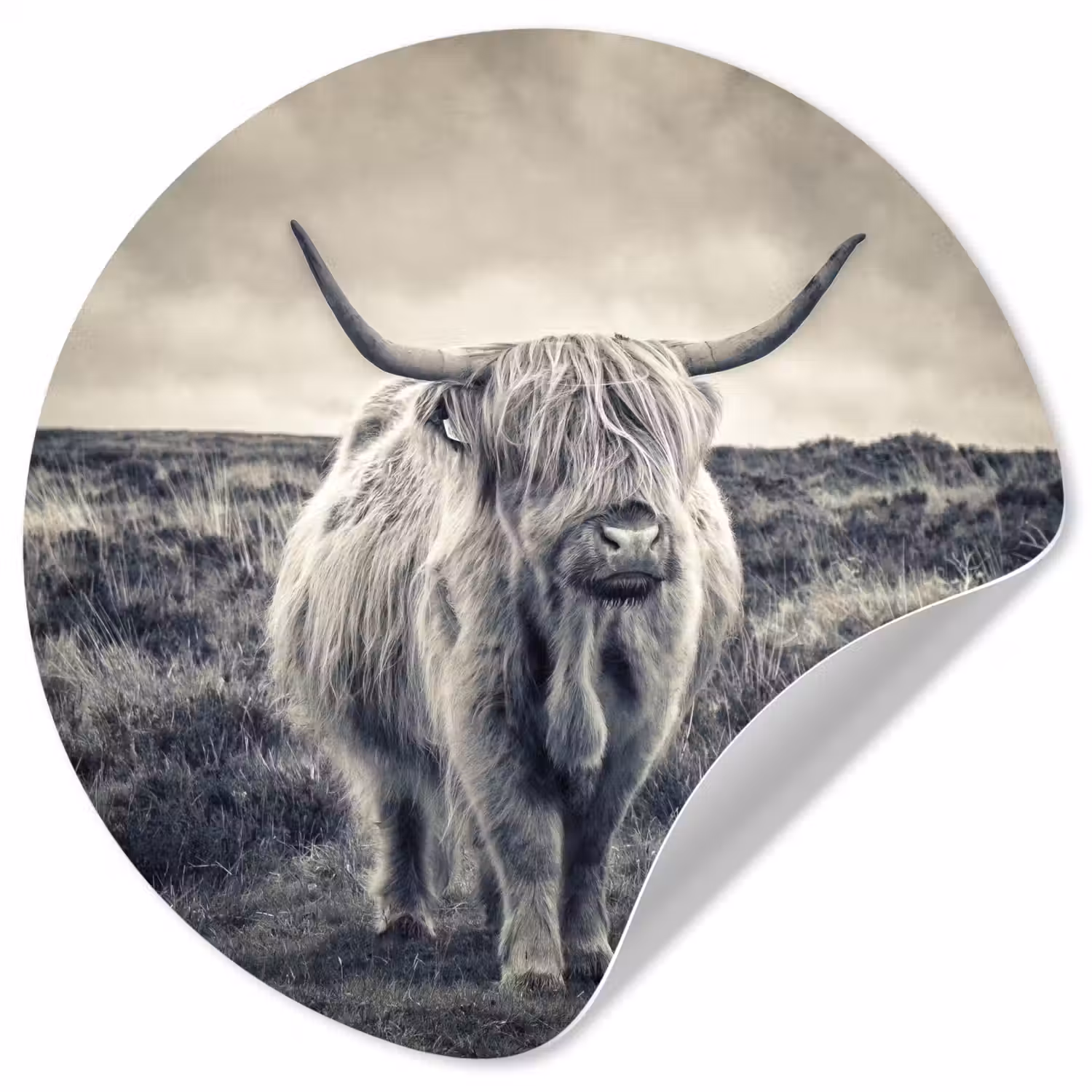 Schotse hooglander - Dieren - Wolken - Koe - Natuur Wandcirkel behangsticker klein -3d