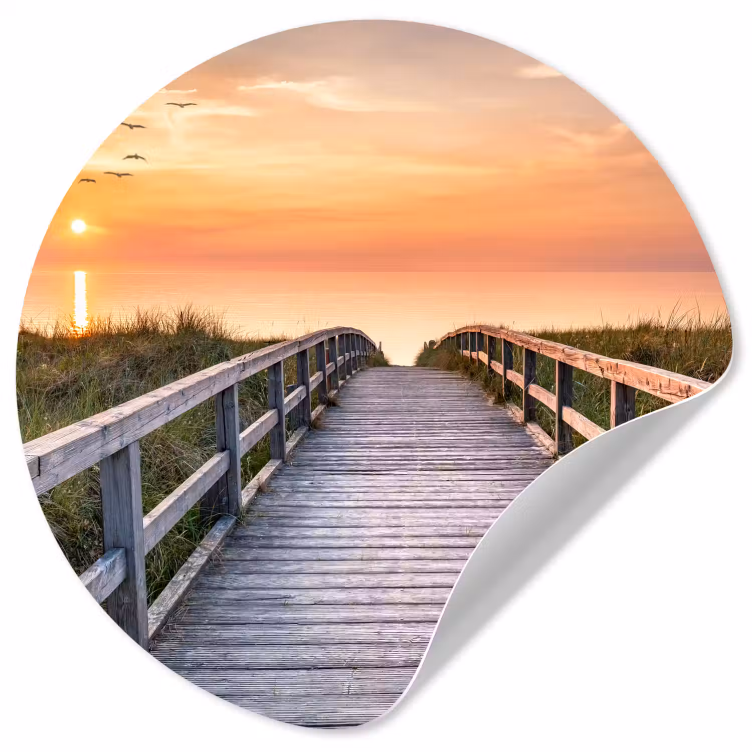 Zonsonderang - Zee - Pad - Gras - Duin - Vogels Wandcirkel behangsticker klein -3d