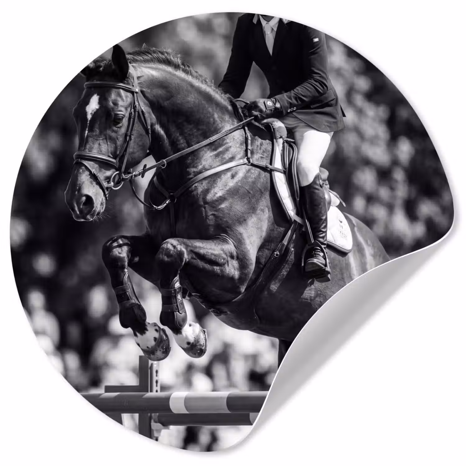 Springen - Paard - Zwart - Wit Wandcirkel behangsticker klein -3d