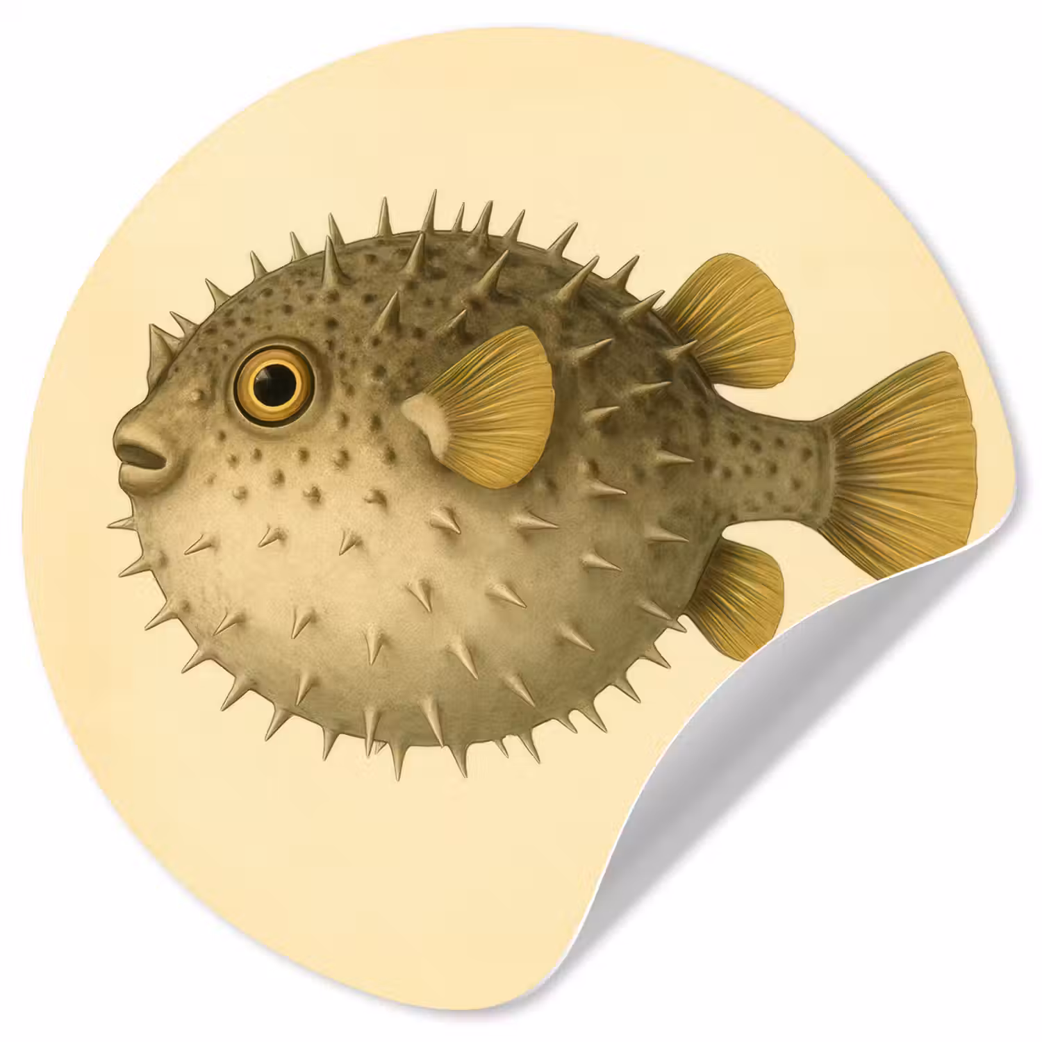 Stekels - Vis - Opgeblazen - Bruin Wandcirkel behangsticker klein -3d