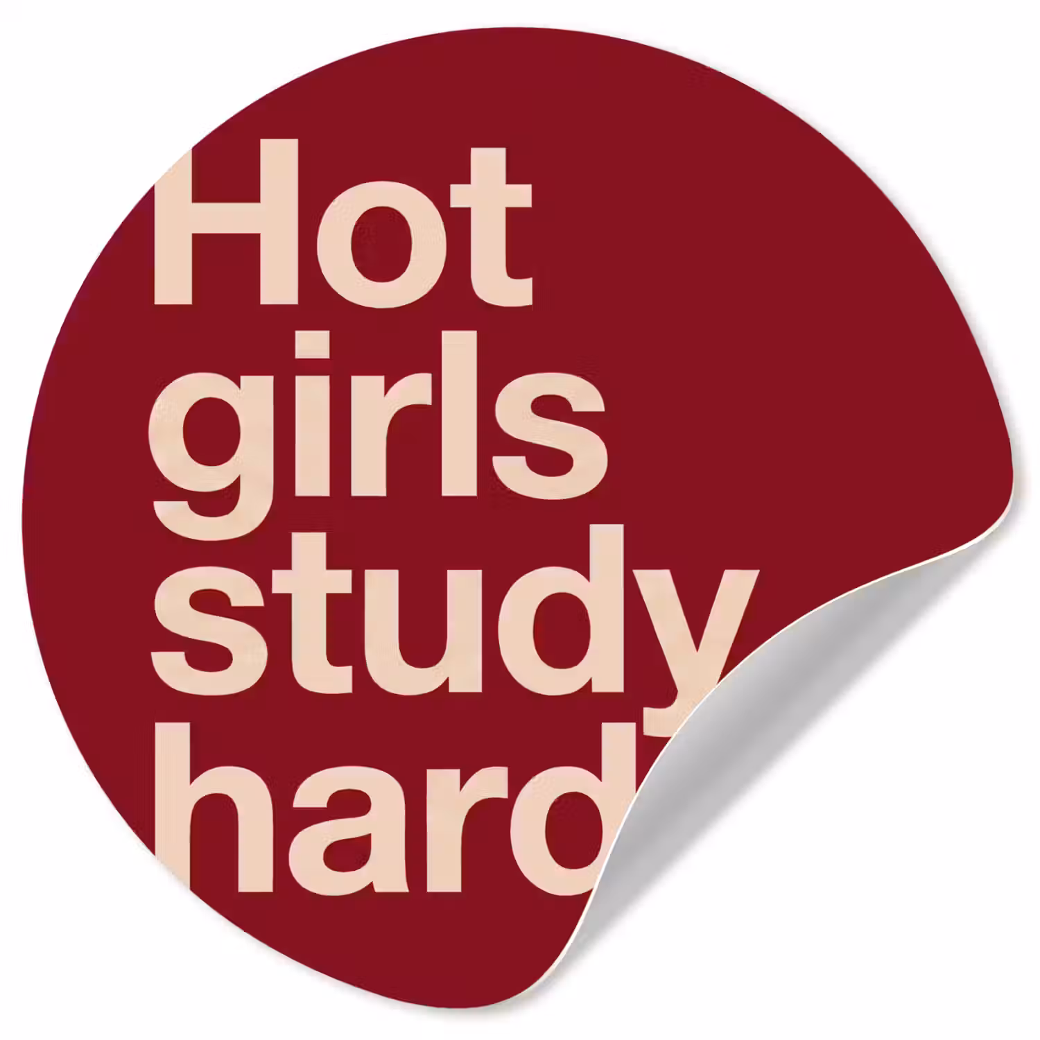 Tekst - Studie - Motivatie - Modern - Rood Wandcirkel behangsticker klein -3d