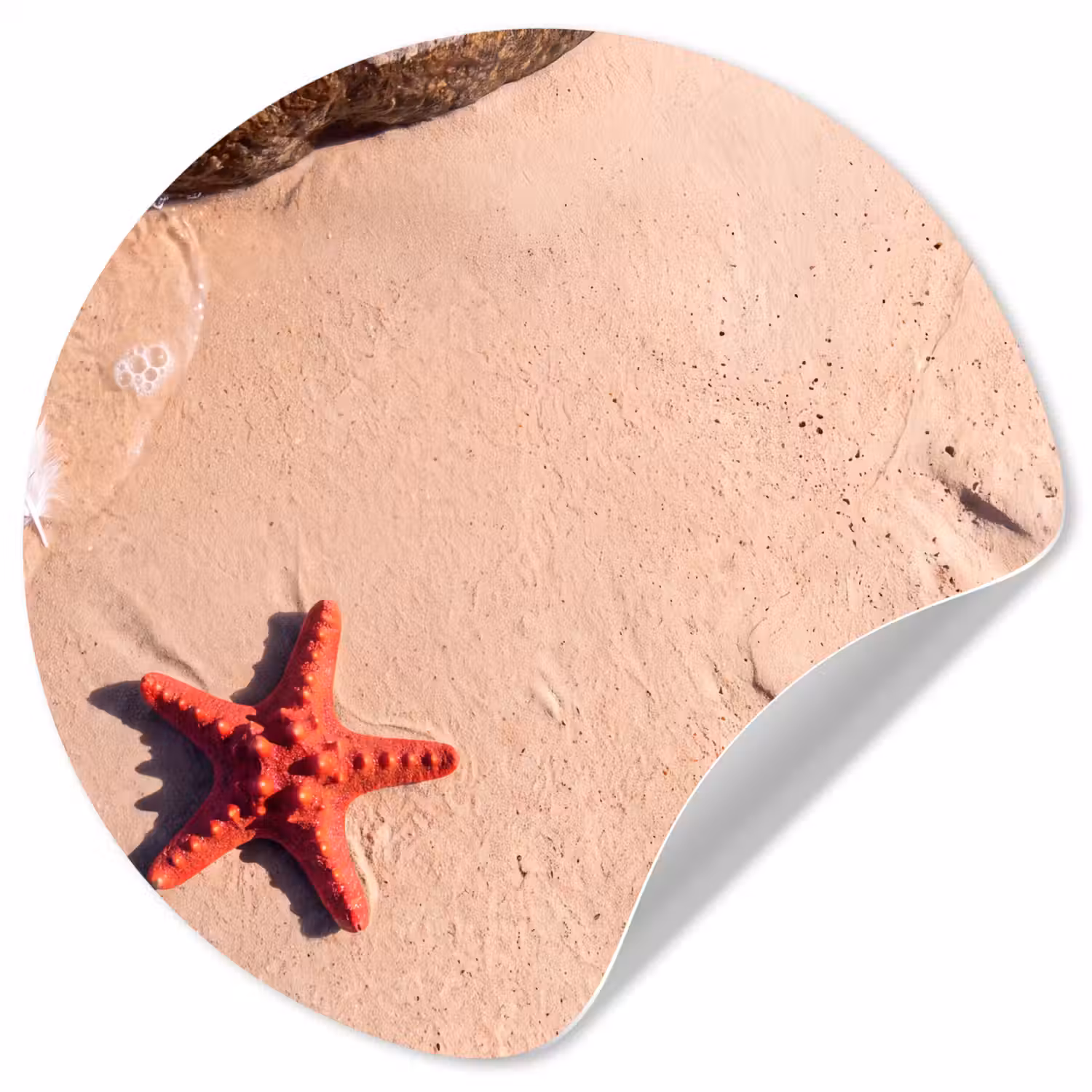 Dieren - Strand - Zee - Natuur - Rood Wandcirkel behangsticker klein -3d