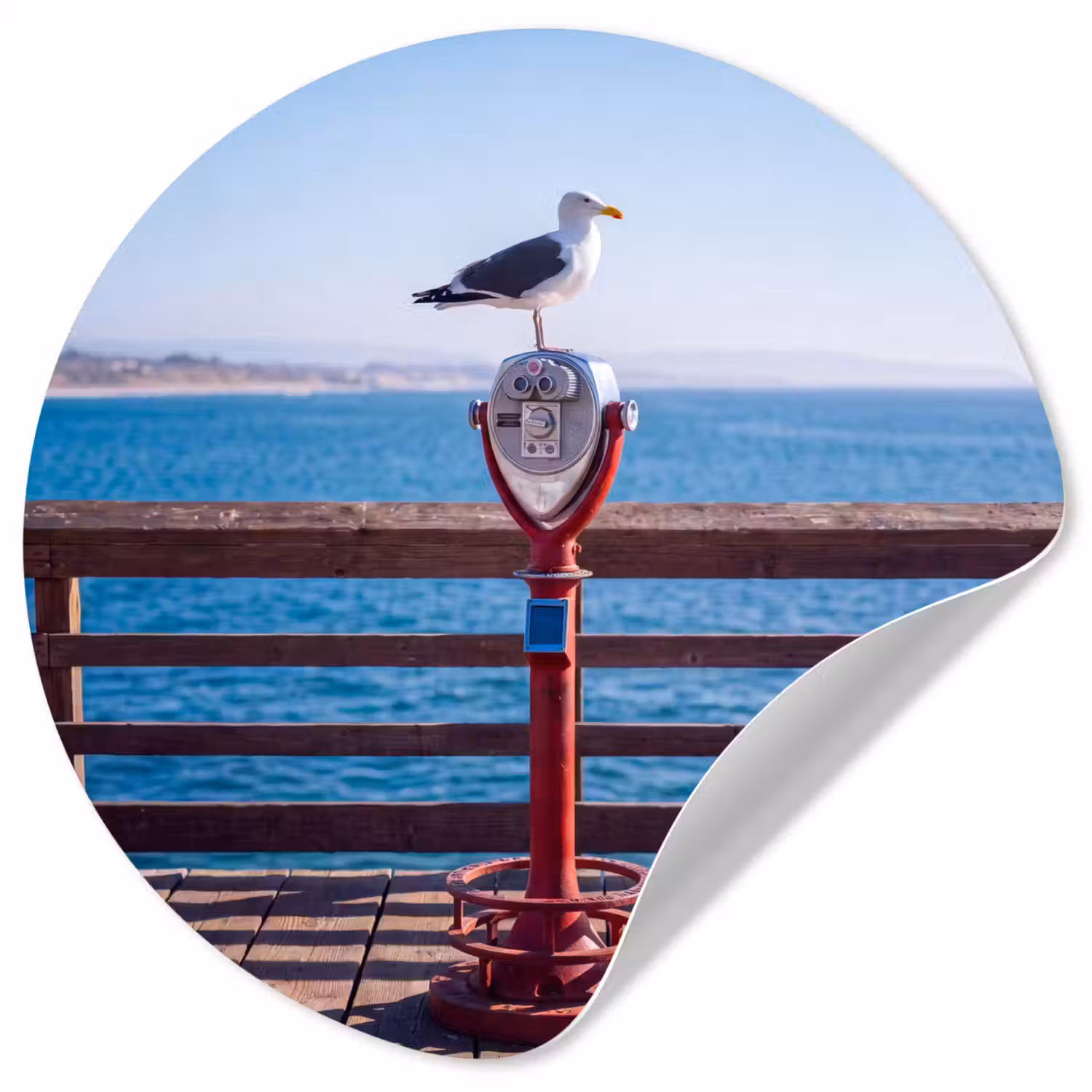 Vogel - Verrekijker - Kust - Zee - Blauw Wandcirkel behangsticker klein -3d