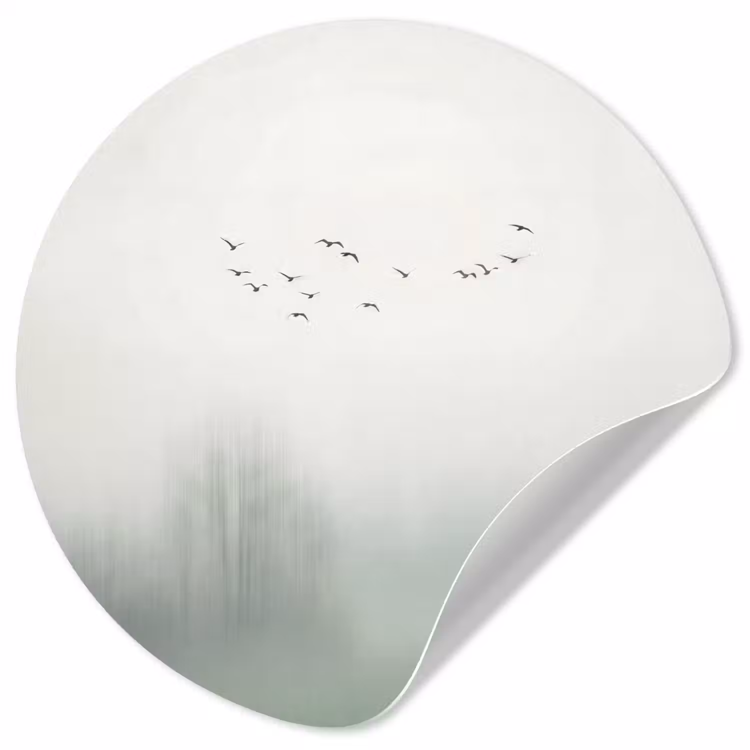 Vogel - Vlucht - Natuur - Minimalistisch Wandcirkel behangsticker klein -3d