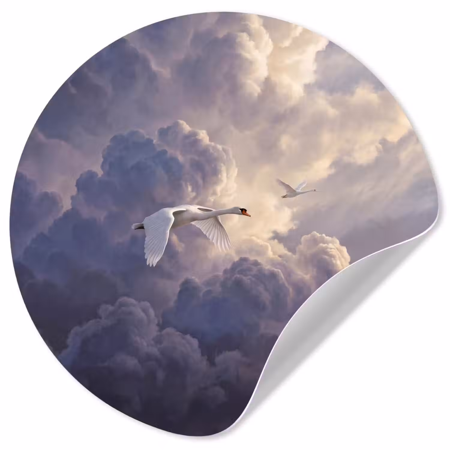 Vogel - Vliegend - Natuur - Wit - Wolken Wandcirkel behangsticker klein -3d