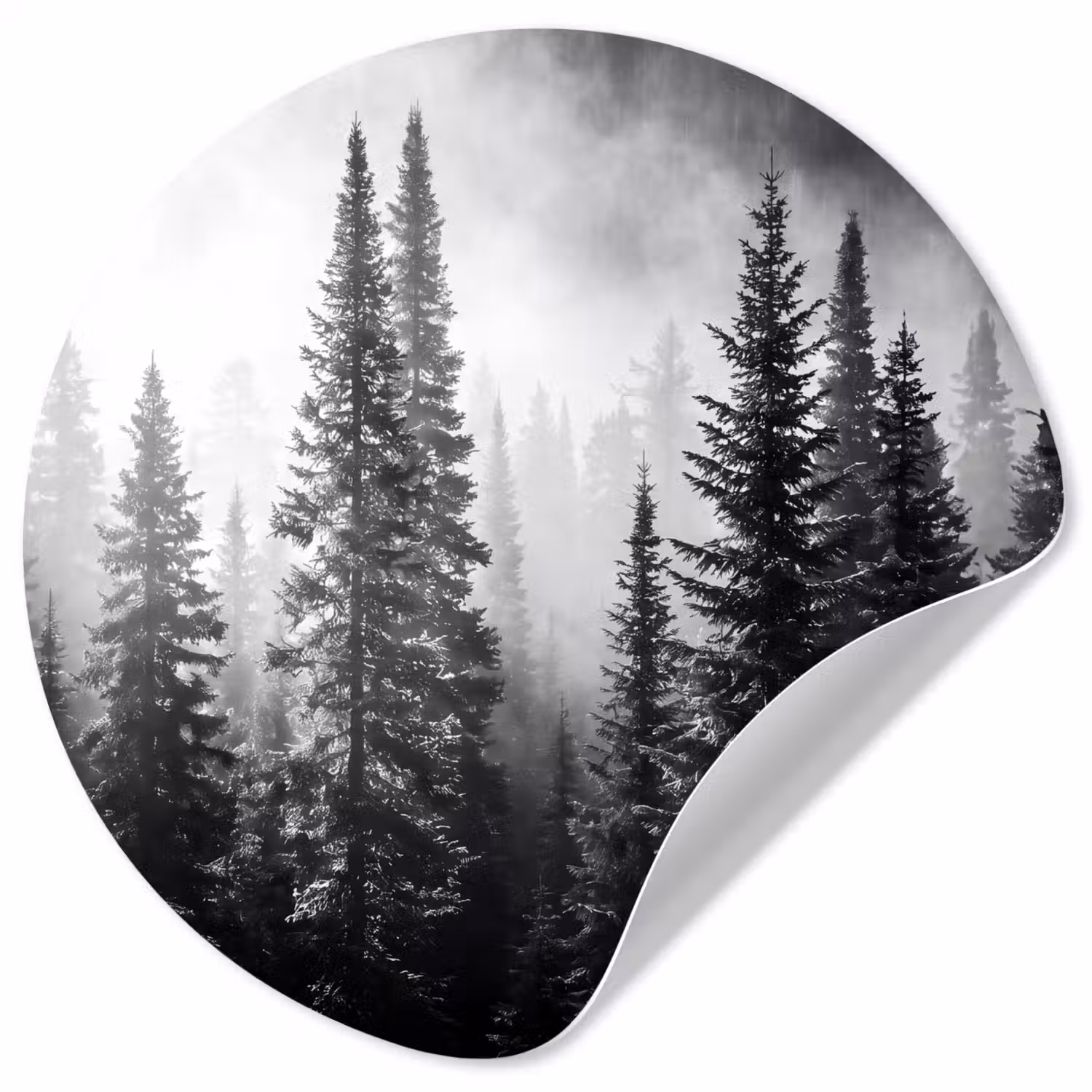Bos - Mist - Winter - Monochroom - Natuur Wandcirkel behangsticker klein -3d