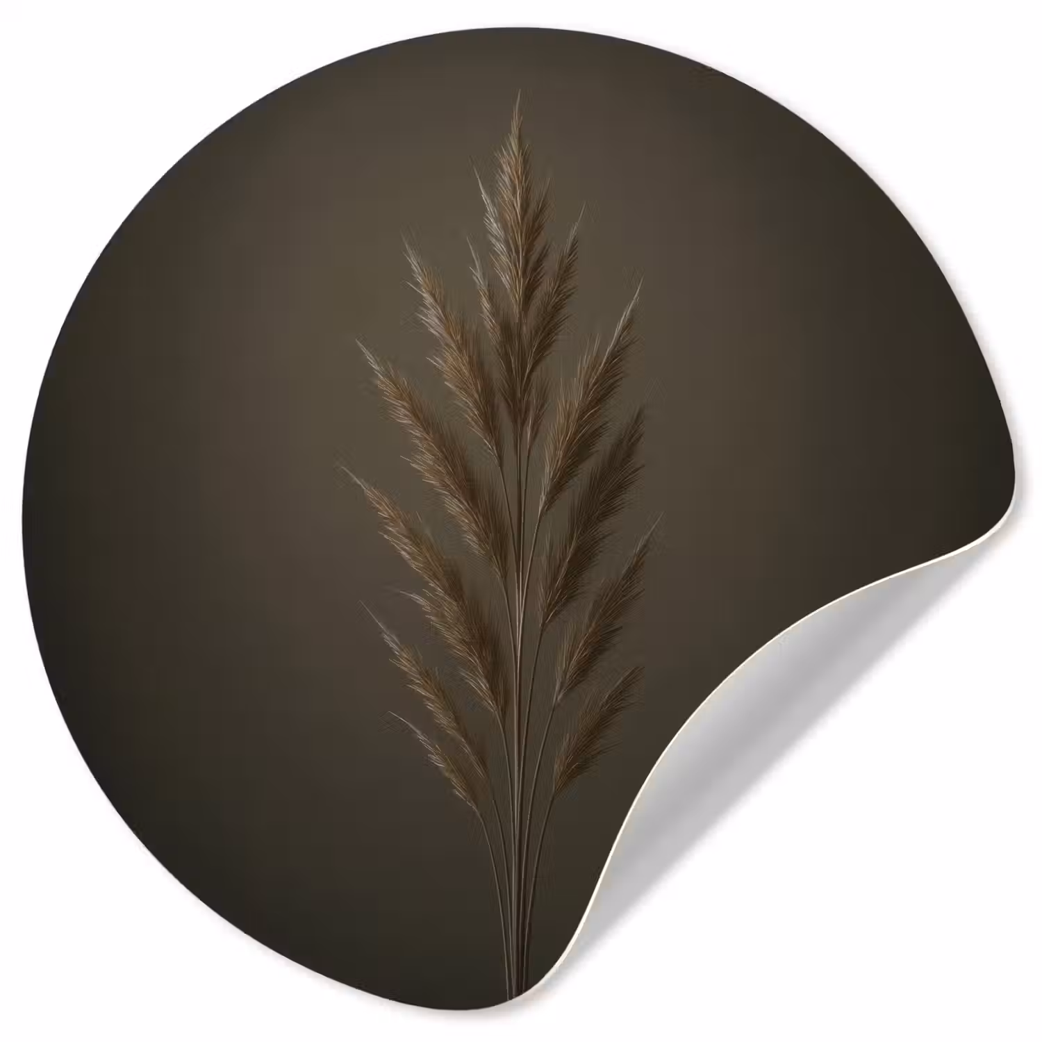 Tak - Pluimgras - Donkerbruin Wandcirkel behangsticker klein -3d