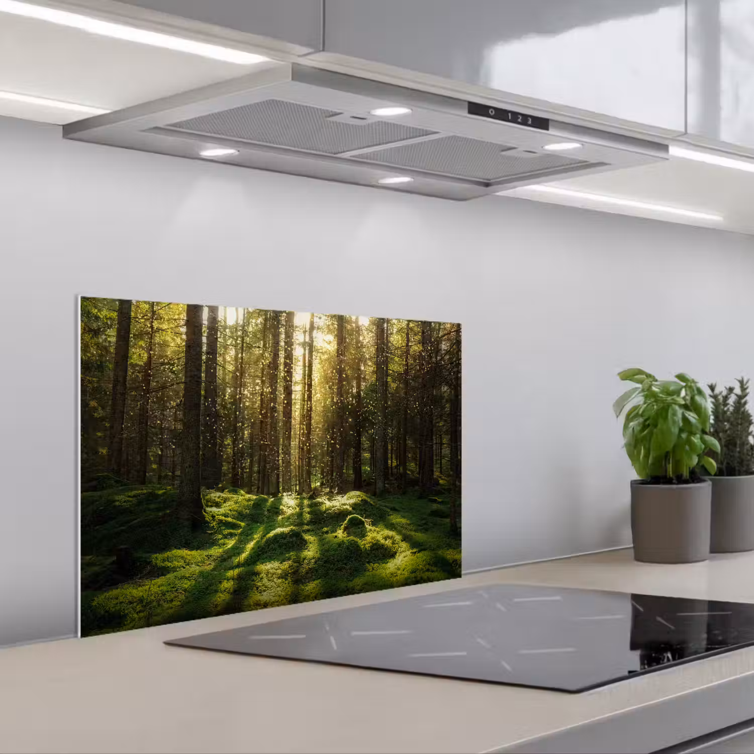 Bomen - Bos - Mos - Planten - Zon - Natuur keuken achterwand spatscherm klein -3d_schuin