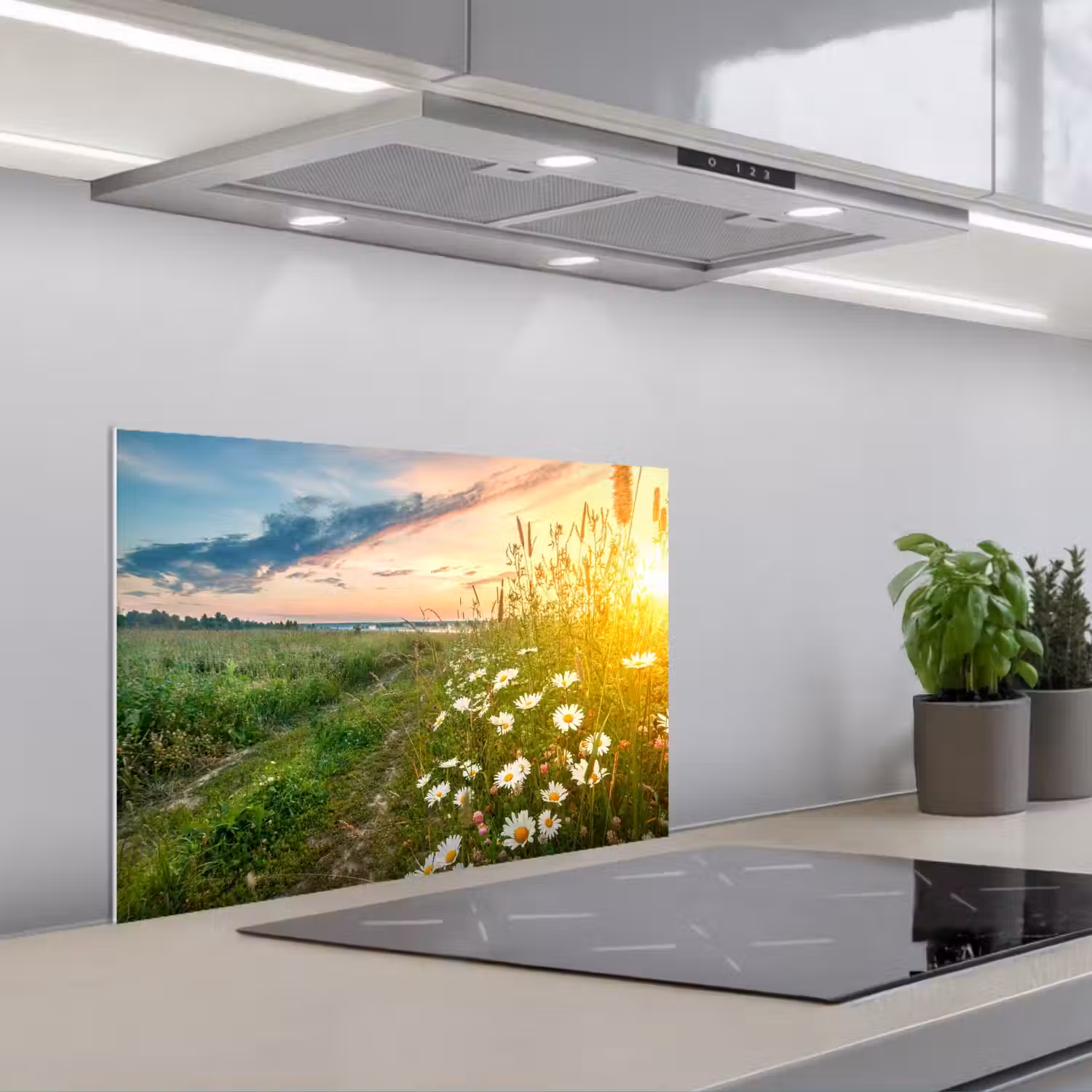 Bloemen - Madelief - Natuur - Zon - Horizon keuken achterwand spatscherm klein -3d_schuin