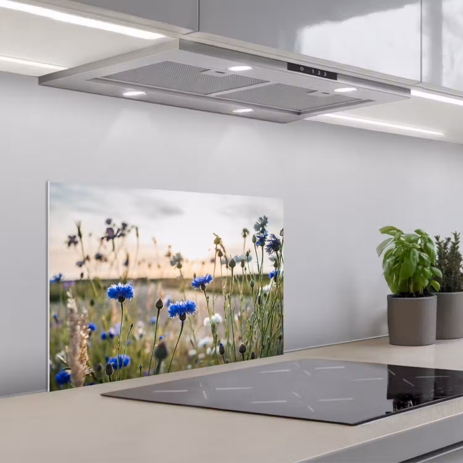 Bloemen - Zomer - Korenbloem - Blauw - Zon - Wolken keuken achterwand spatscherm klein -3d_schuin