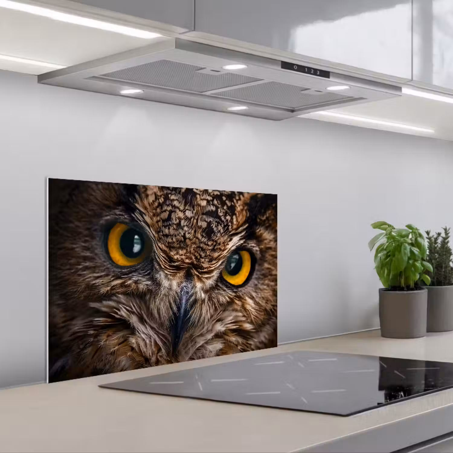 Uil - Dier - Oranje keuken achterwand spatscherm klein -3d_schuin