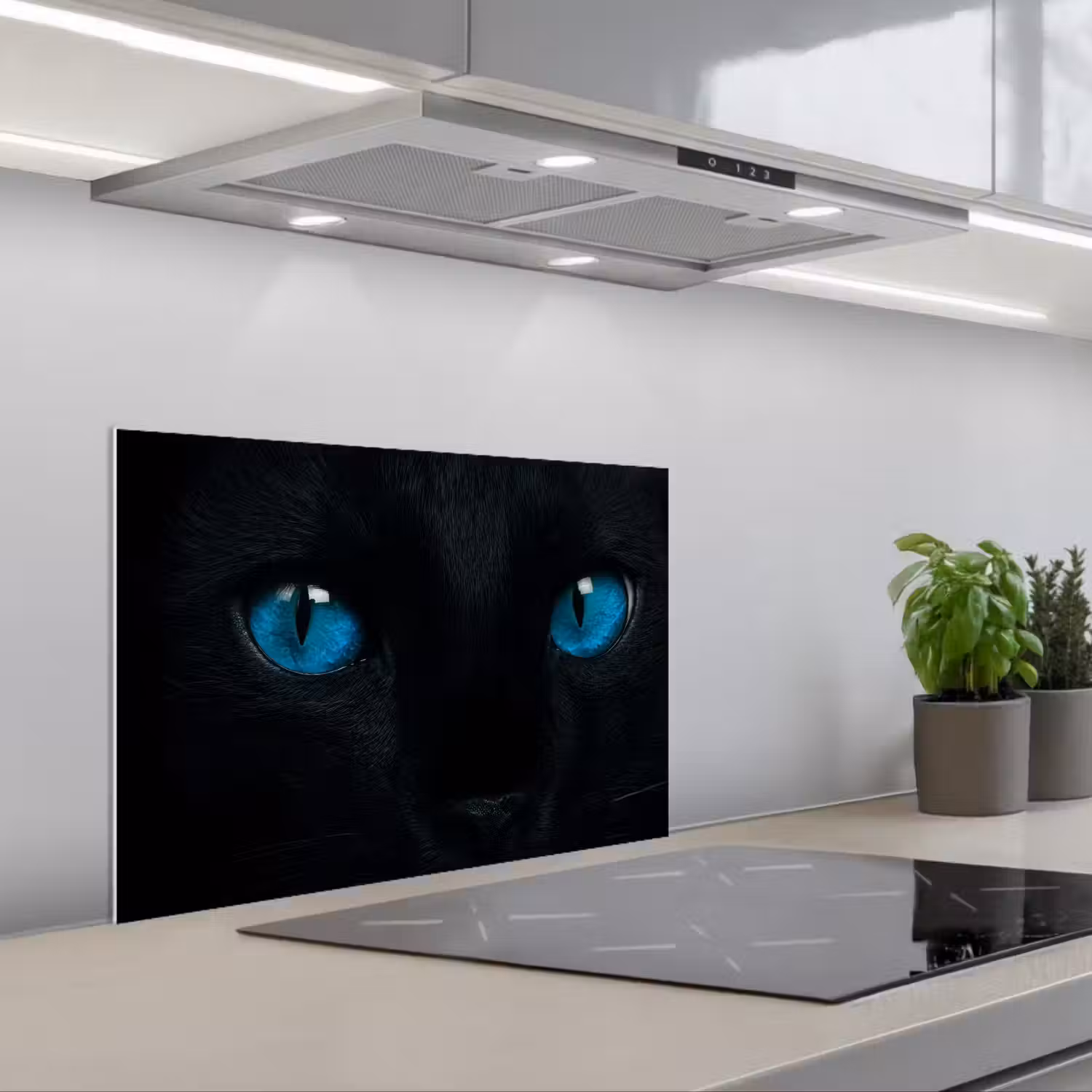 Kat - Blauw - Dier - Zwart keuken achterwand spatscherm klein -3d_schuin