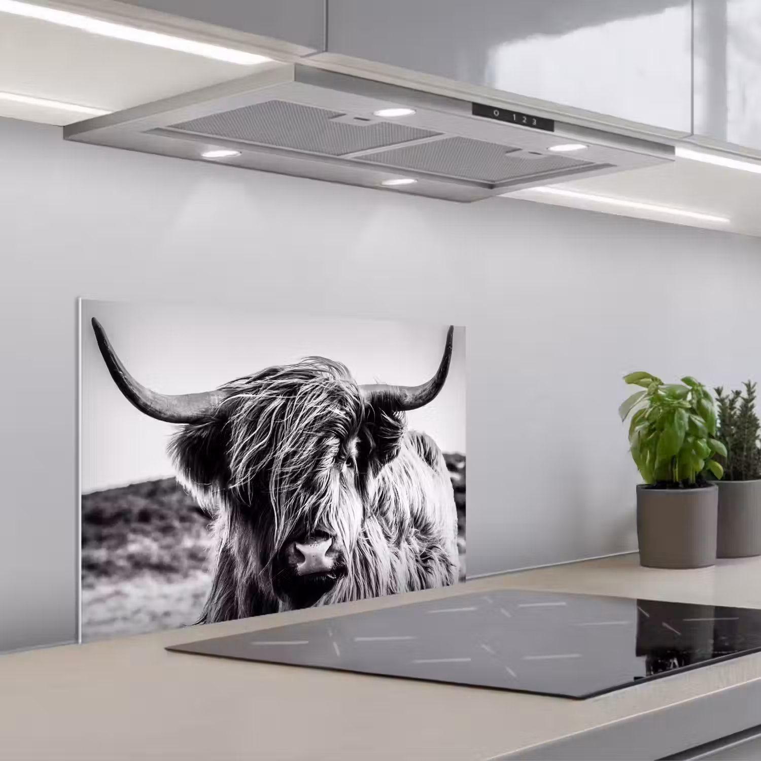 Koe - Schotse hooglander - Zwart - Wit - Dier - Natuur - Wild keuken achterwand spatscherm klein -3d_schuin