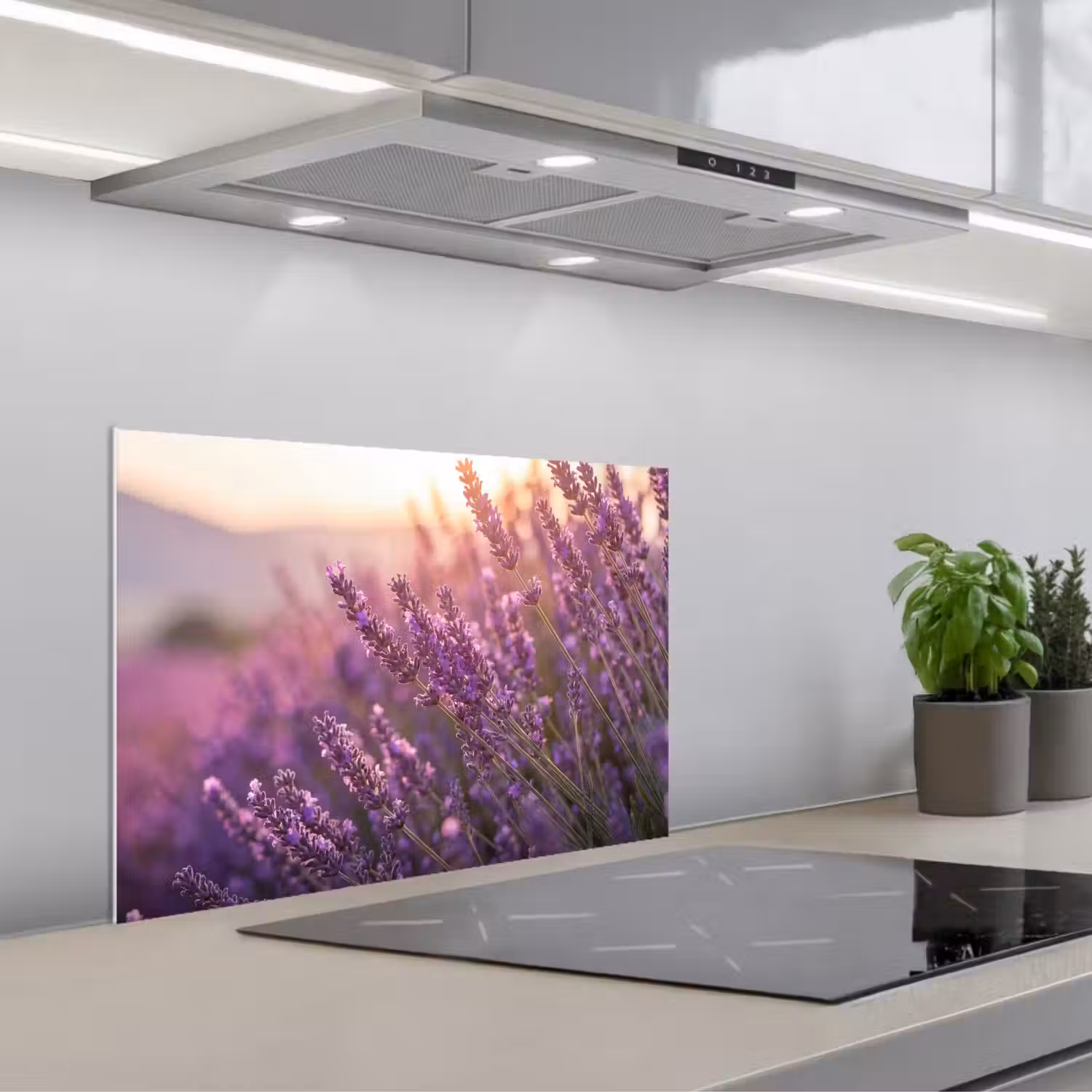 Lavendel - Paars - Zonlicht keuken achterwand spatscherm klein -3d_schuin