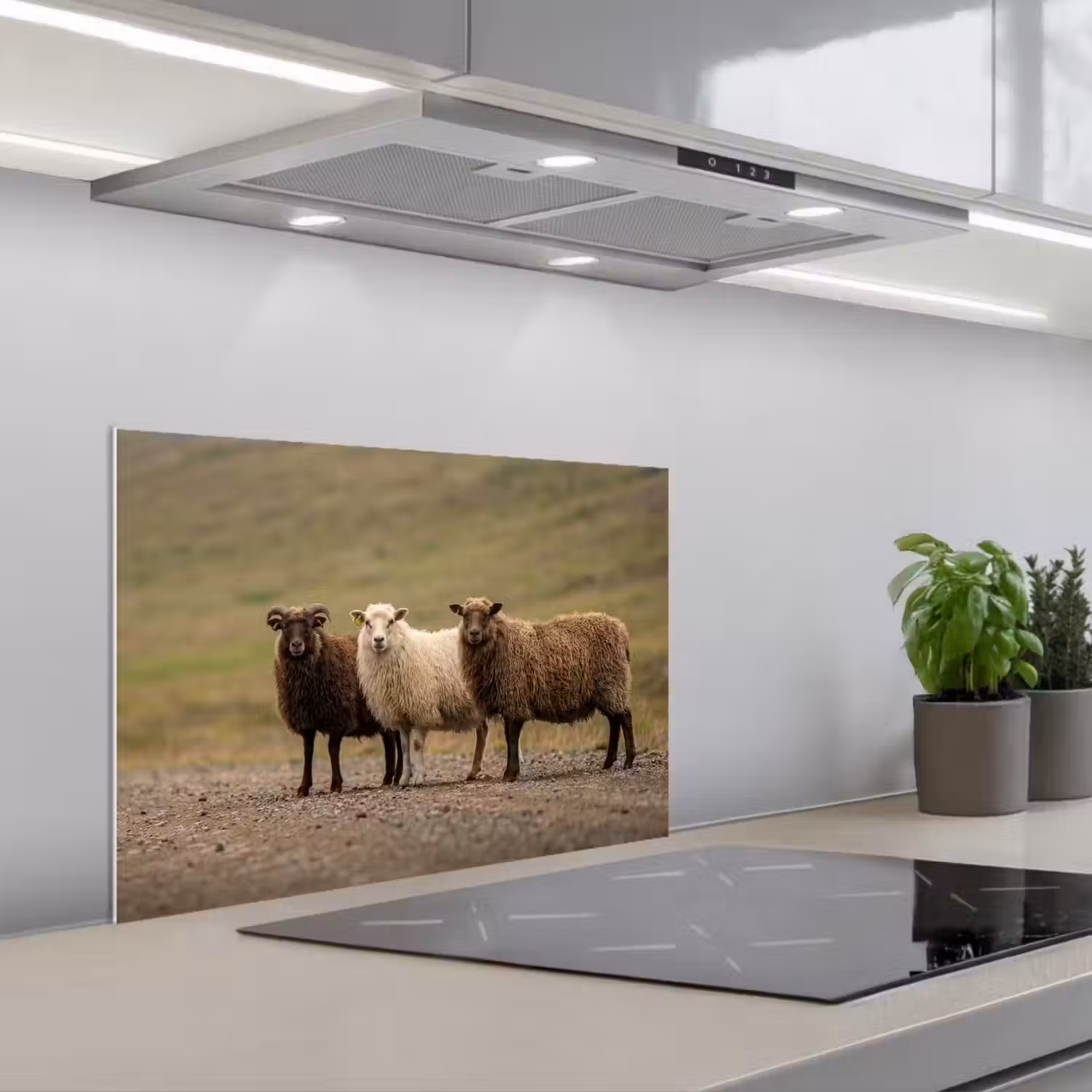 Schapen - Bruin - Wit - Grindpad keuken achterwand spatscherm klein -3d_schuin