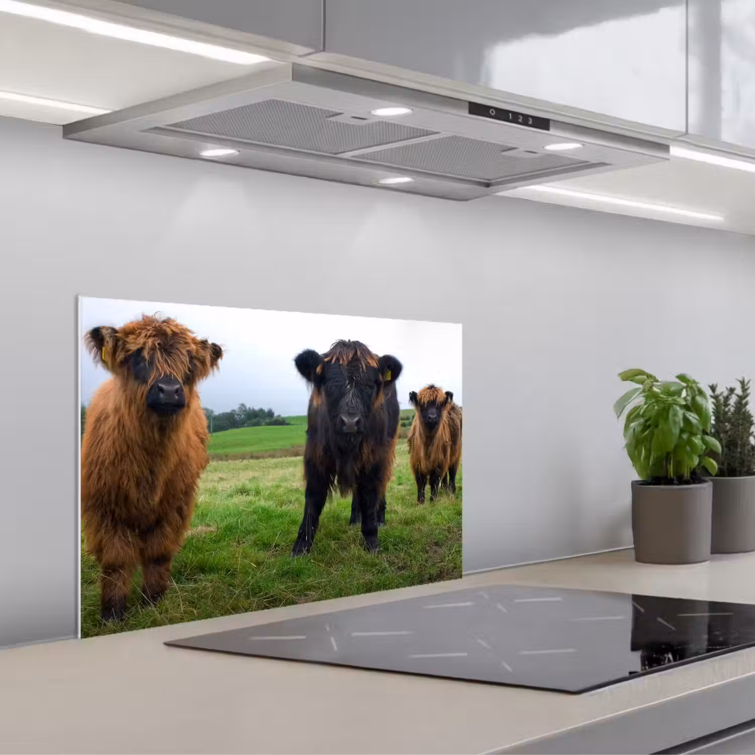 Schotse hooglander - Koeien - Natuur - Groen - Gras keuken achterwand spatscherm klein -3d_schuin