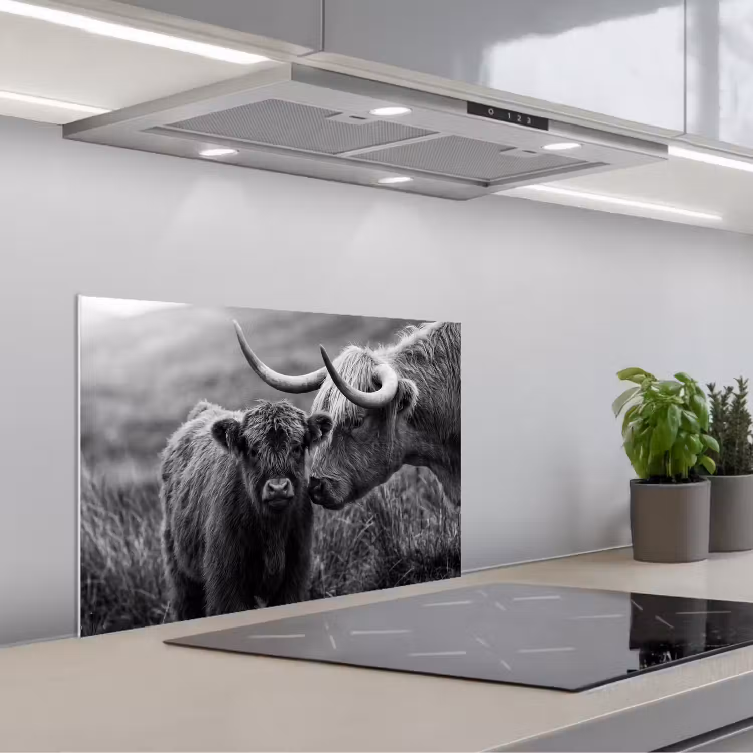 Schotse hooglander - Kalf - Zwart - Wit keuken achterwand spatscherm klein -3d_schuin
