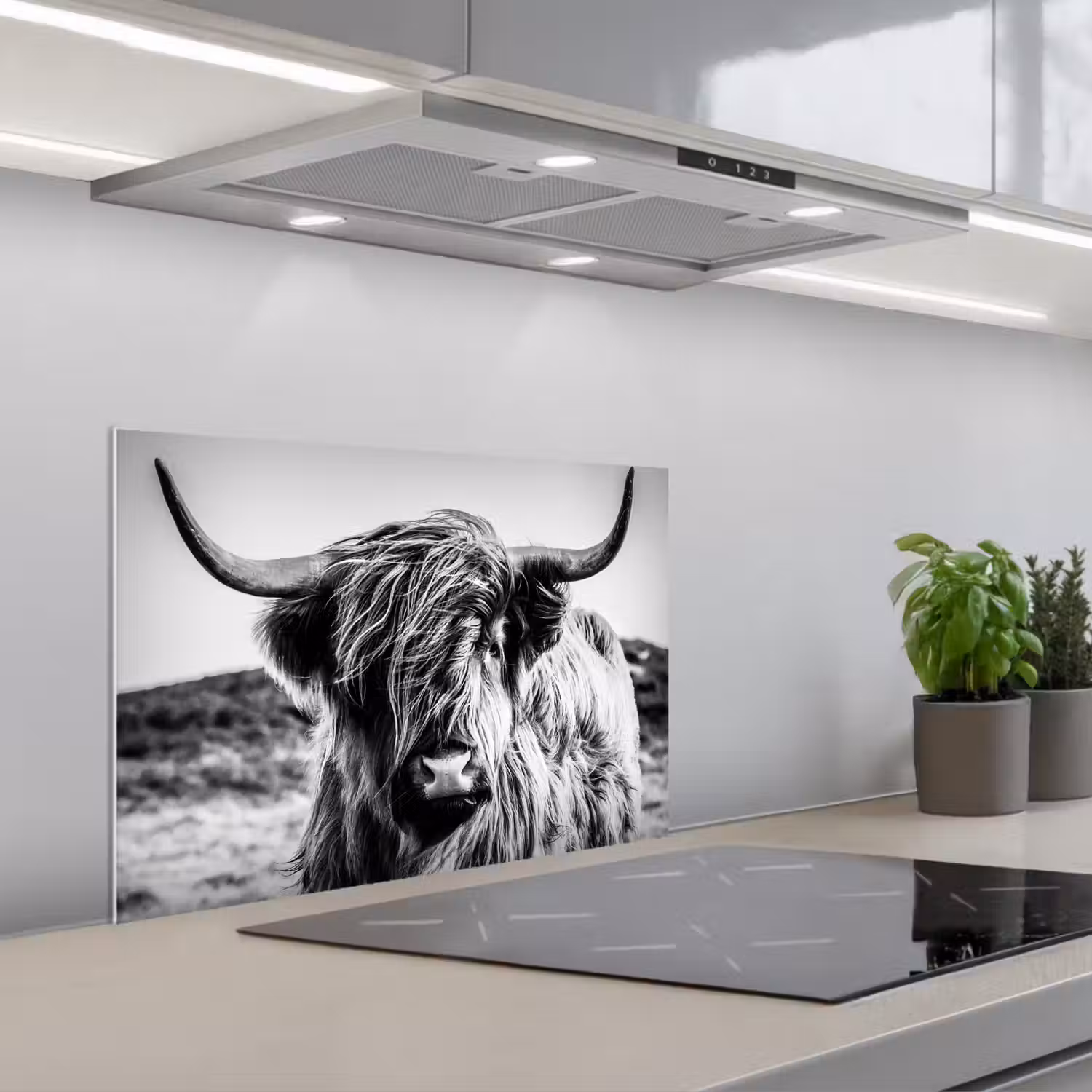 Schotse hooglander - Natuur - Koe - Zwart - Wit keuken achterwand spatscherm klein -3d_schuin