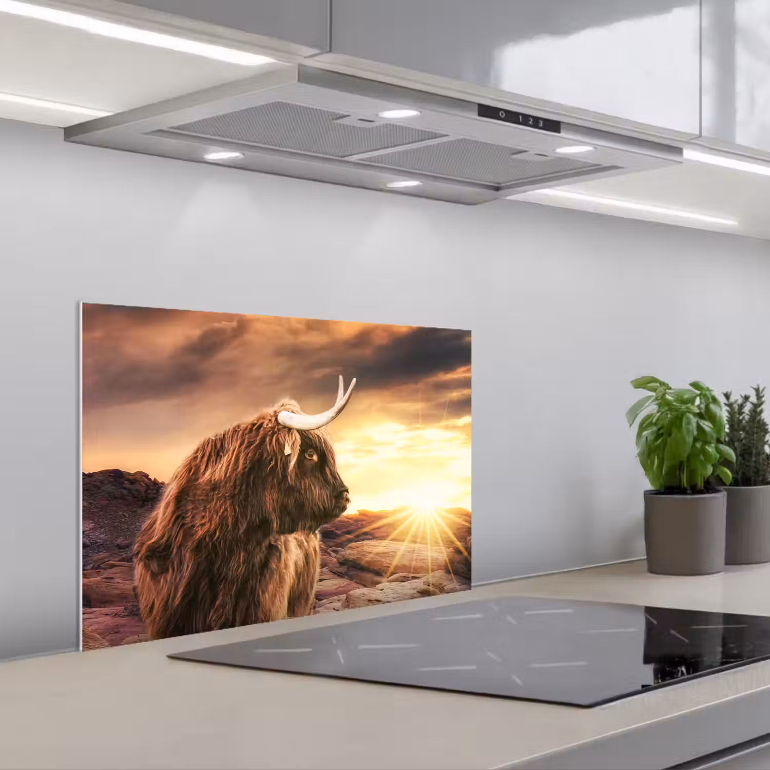 Schotse hooglander - Zon - Horizon - Koe - Dieren keuken achterwand spatscherm klein -3d_schuin
